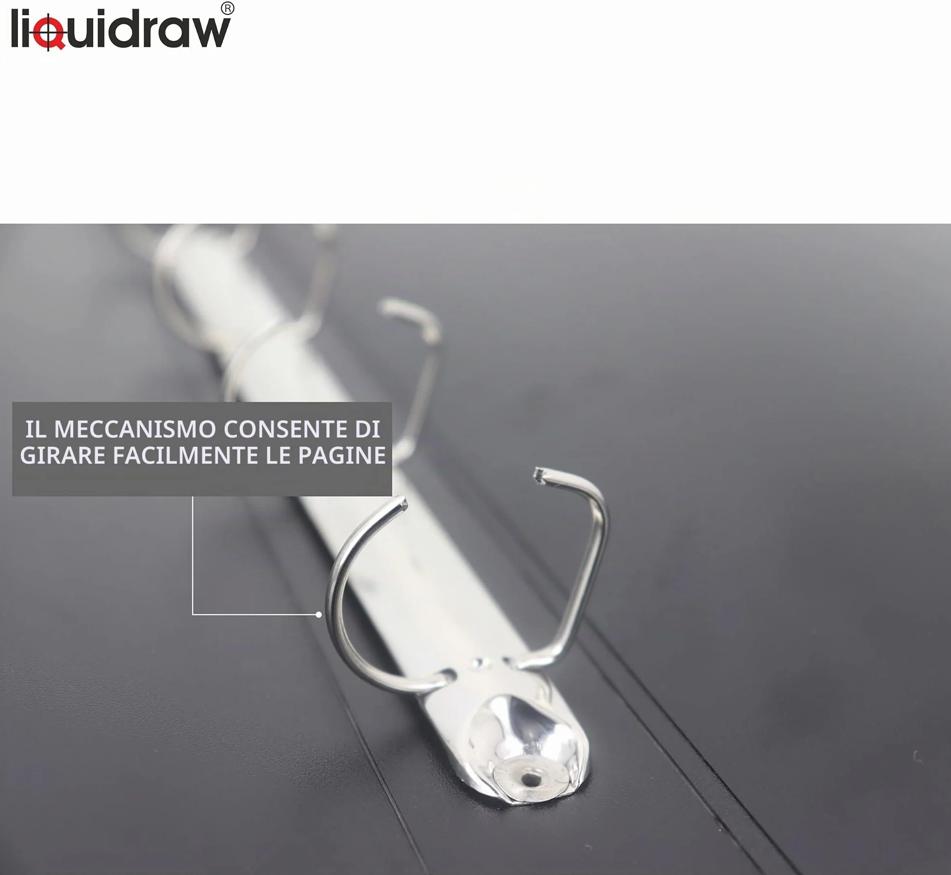 Liquidraw Cartellina portadocumenti per artisti, formato A2 e A3, con maniche o tasche trasparenti, borsa per il trasporto e documenti per artisti, Nero , A2, Portfolio Bag A2