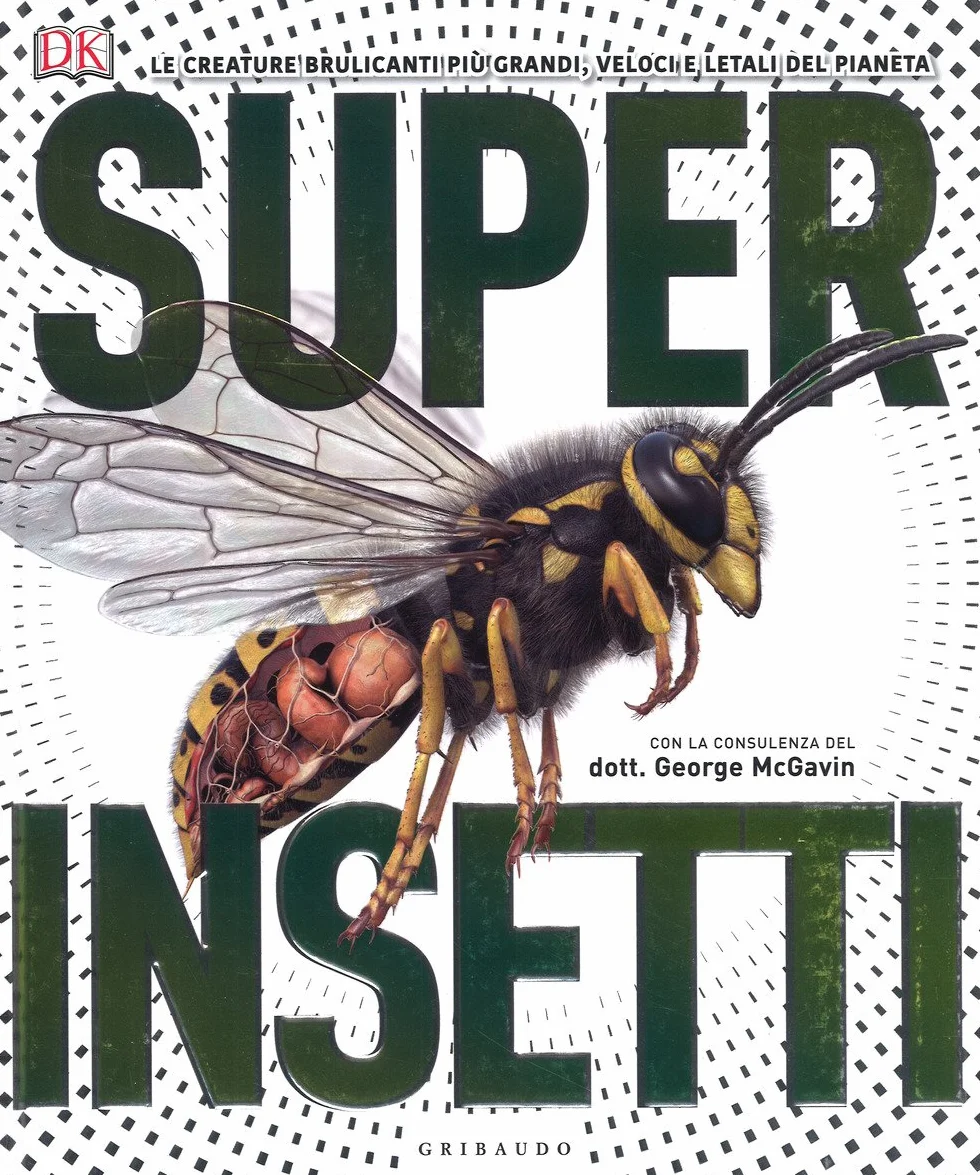 Superinsetti. Ediz. a colori