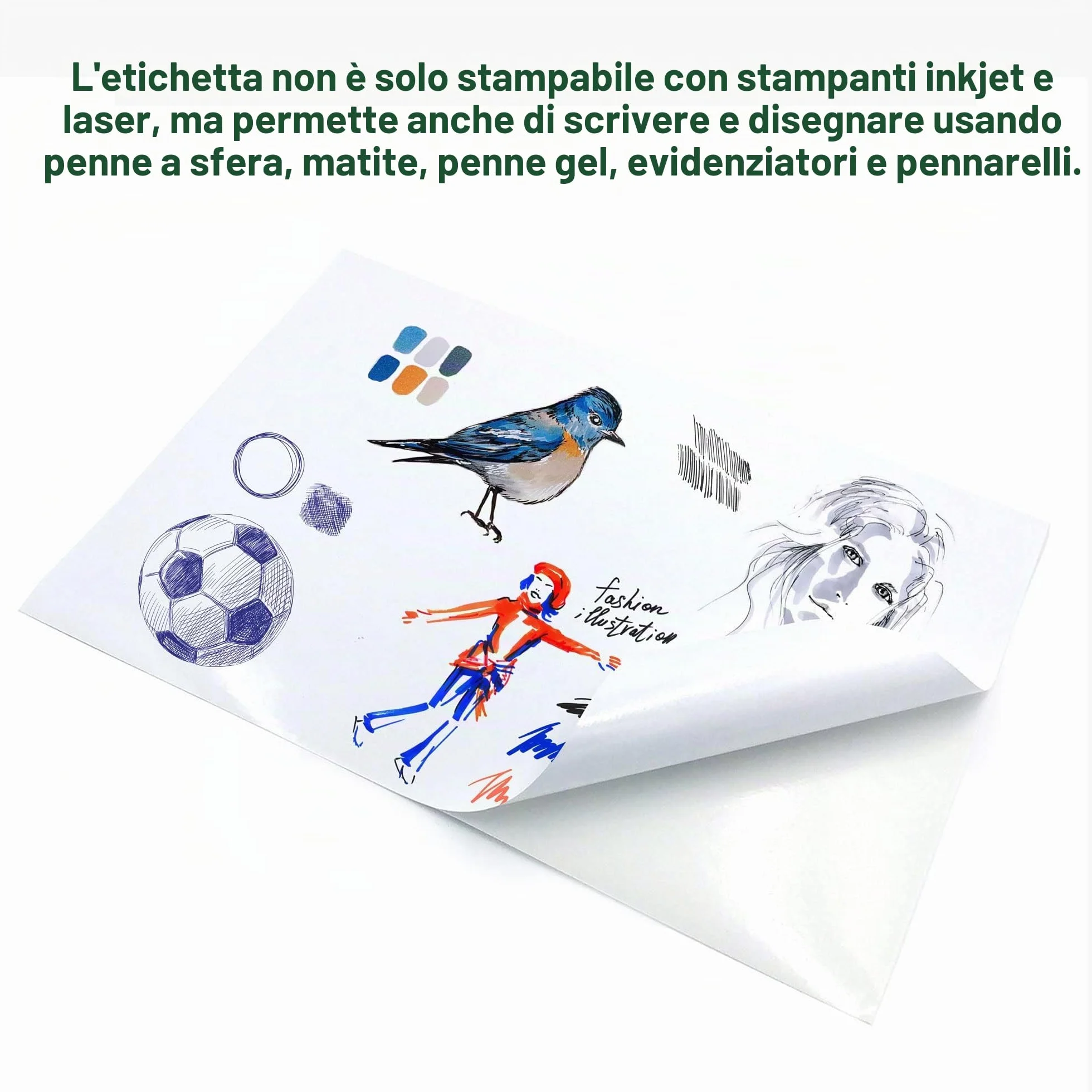 Evergreen Goods Ltd 50 fogli A4 lucidi autoadesivi carta adesiva bianca per immagini resistente agli schizzi per stampanti inkjet e laser