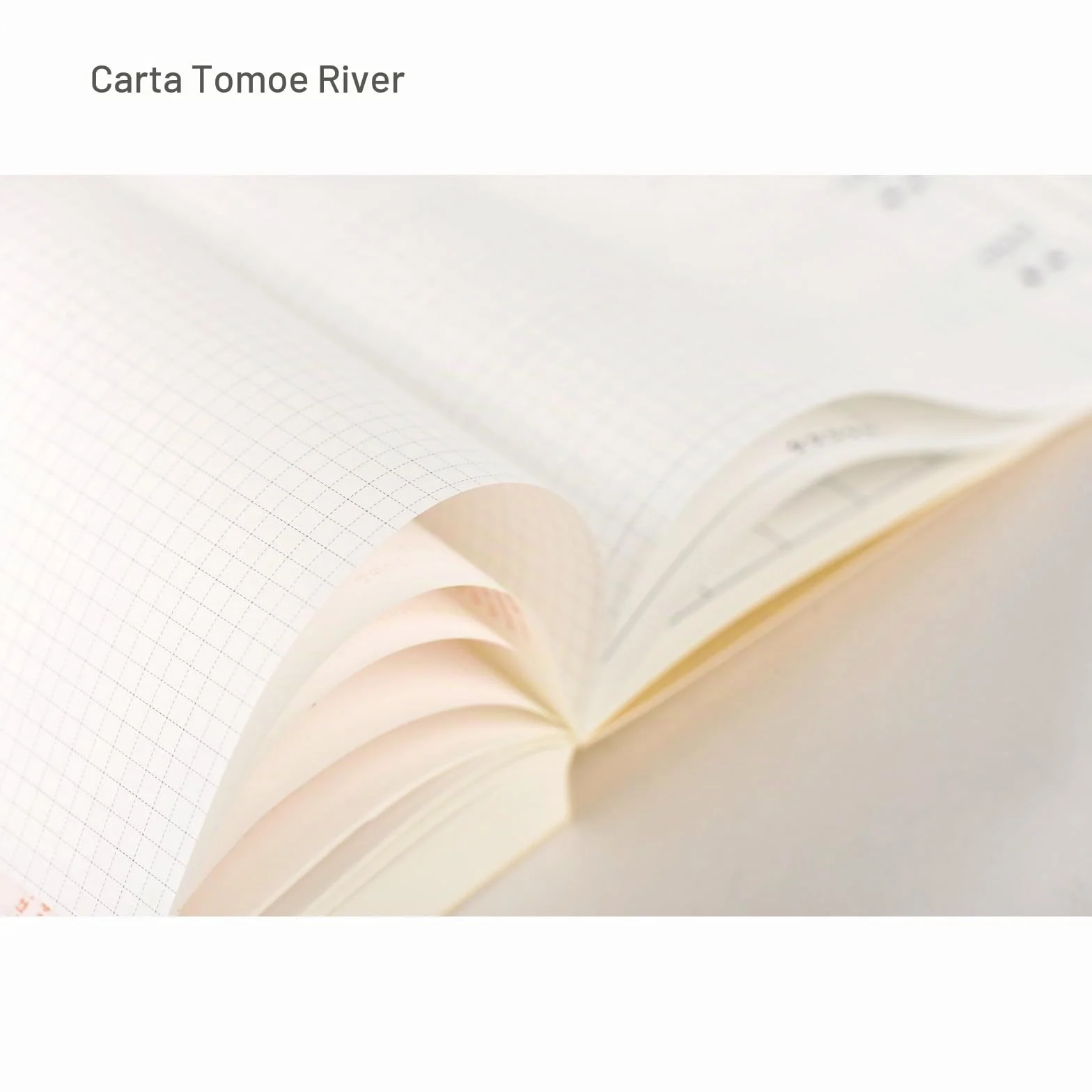 Hobonichi Techo 2026 - Libro originale, formato A6, giapponese, giornaliero, inizio gennaio, inizio lunedì, pianificatore