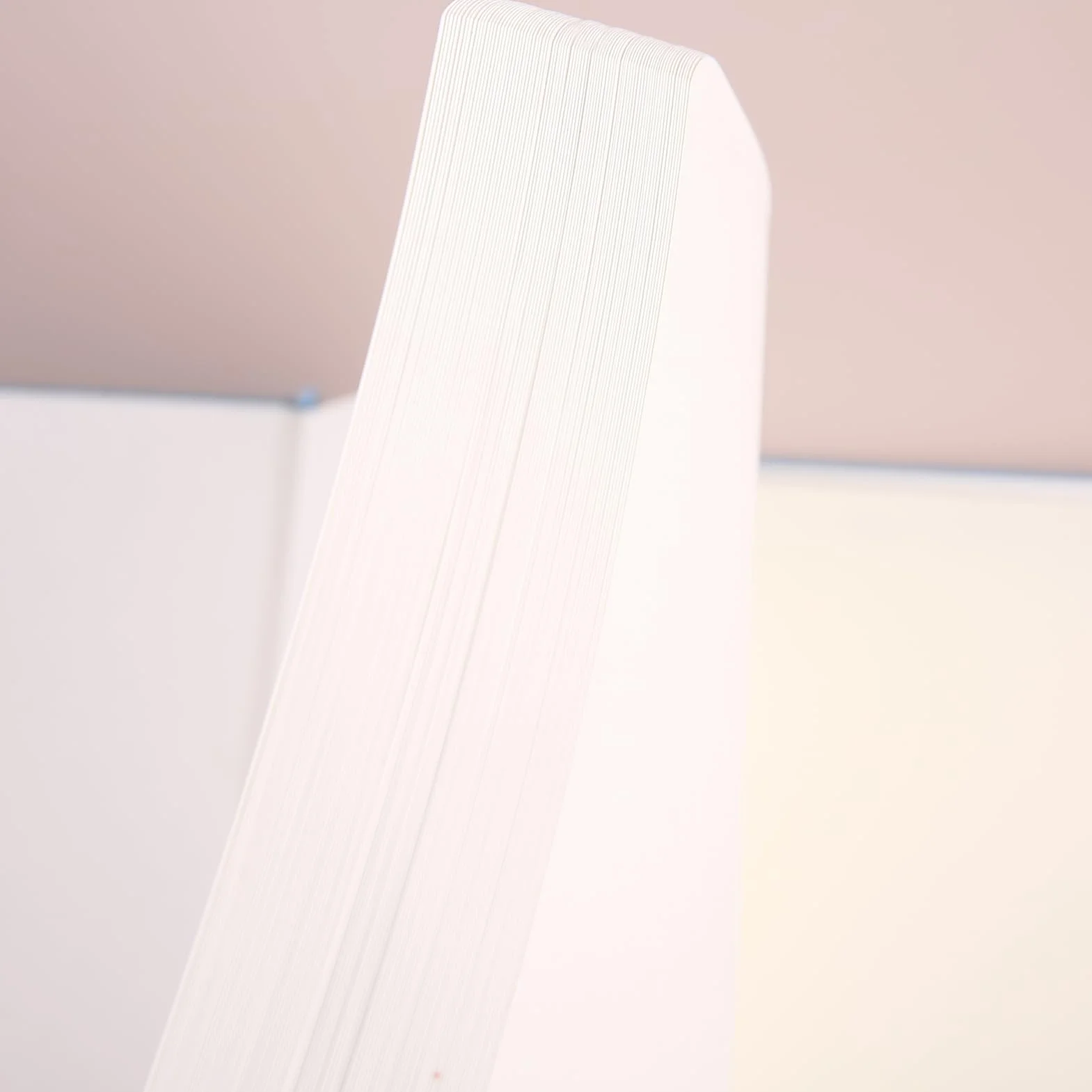 Taccuino punteggiato A5 120 g/m² copertina rigida pelle vegana 160 pagine portapenne tasca interna