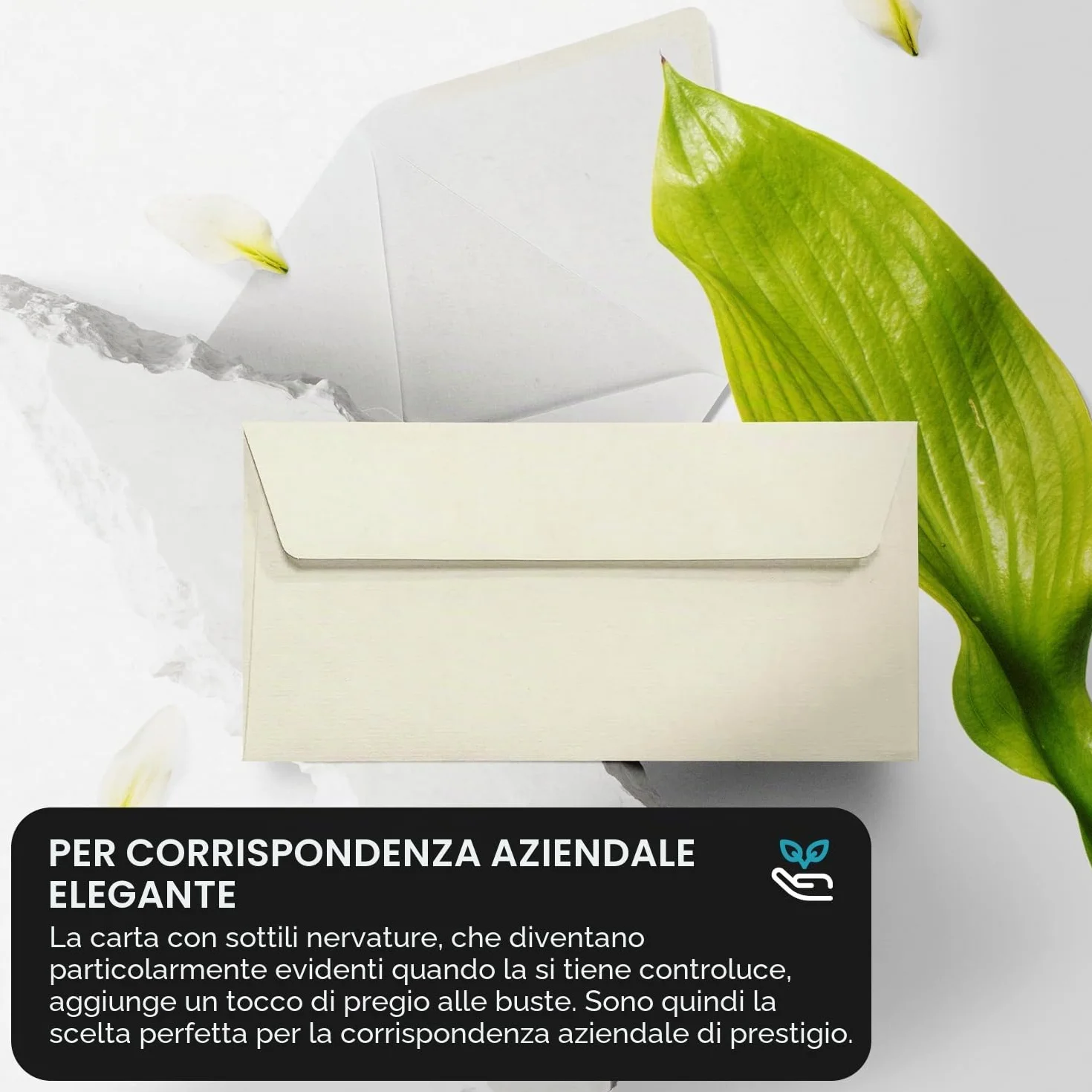 Buste Lettera A4 Netuno 100 Avorio Formato B6 12,5x17,5 cm 120g Aster Laid Ivory Carta Vergata con Filigrana