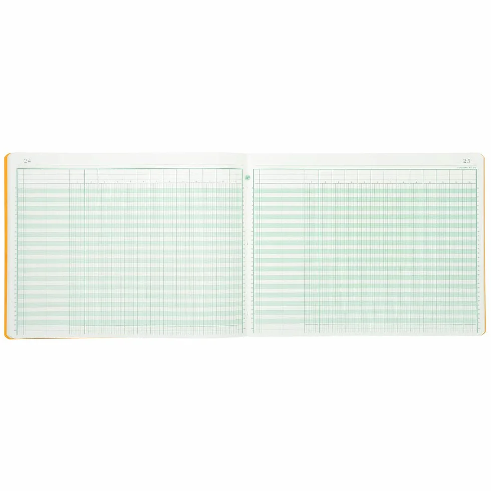 Exacompta piqre ‡ Colonnes, 13 Colonnes, 31 Lignes VE = 1