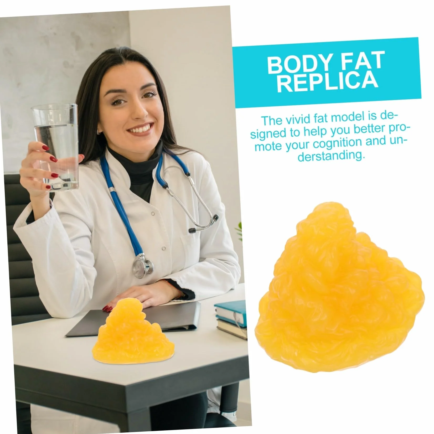 ULTECHNOVO Modello Anatomico Grasso Umano in Tpe Morbido per Studio Fisiologia e Fitness Dimostrazione Didattica per Studenti Materiale Durevole e Sicuro per Comprendere Volume e Peso del