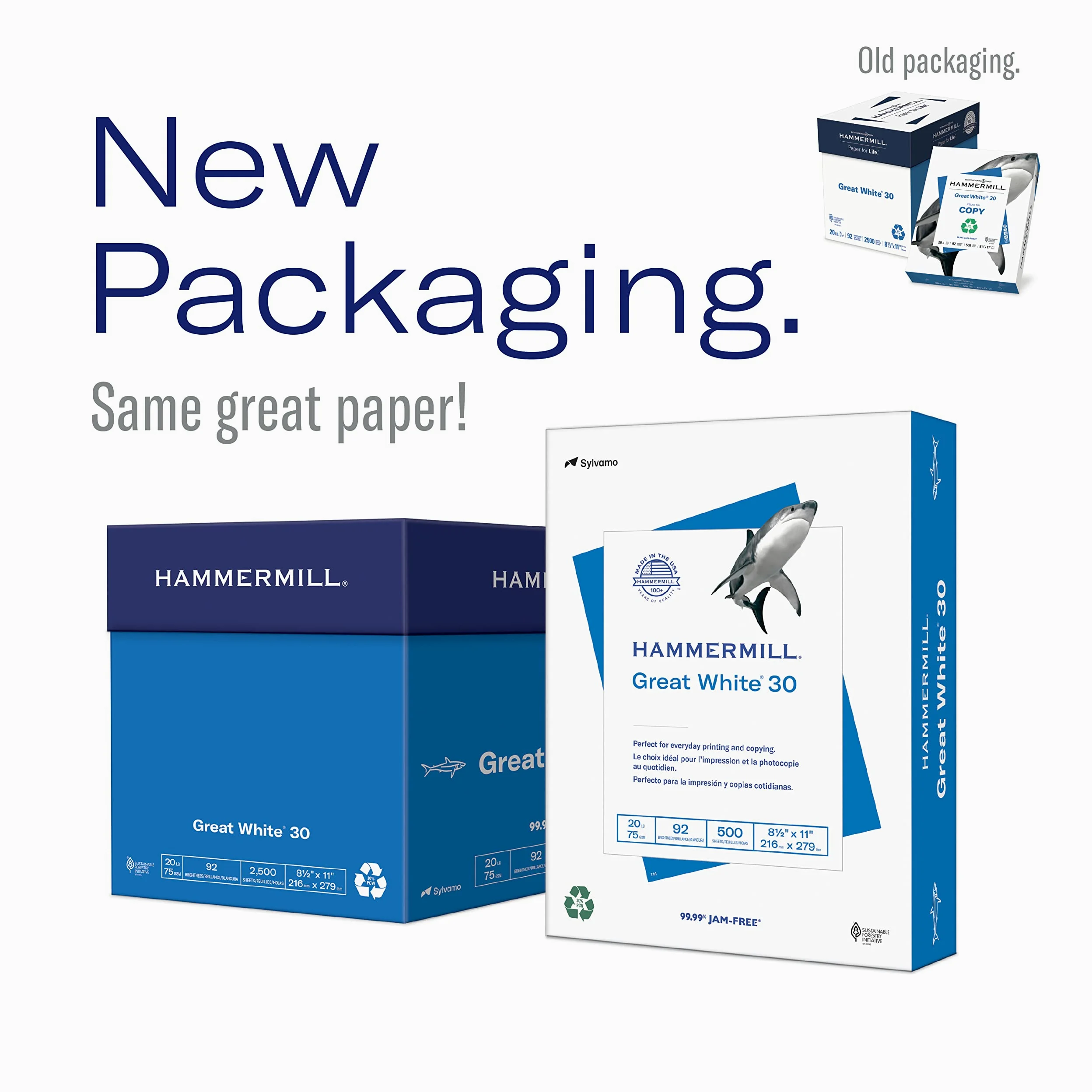 Hammermill Paper, Great White 100% riciclato per stampante, 9,1 kilogram, 8.5 x 11 Lettera 5,000 Sheets White