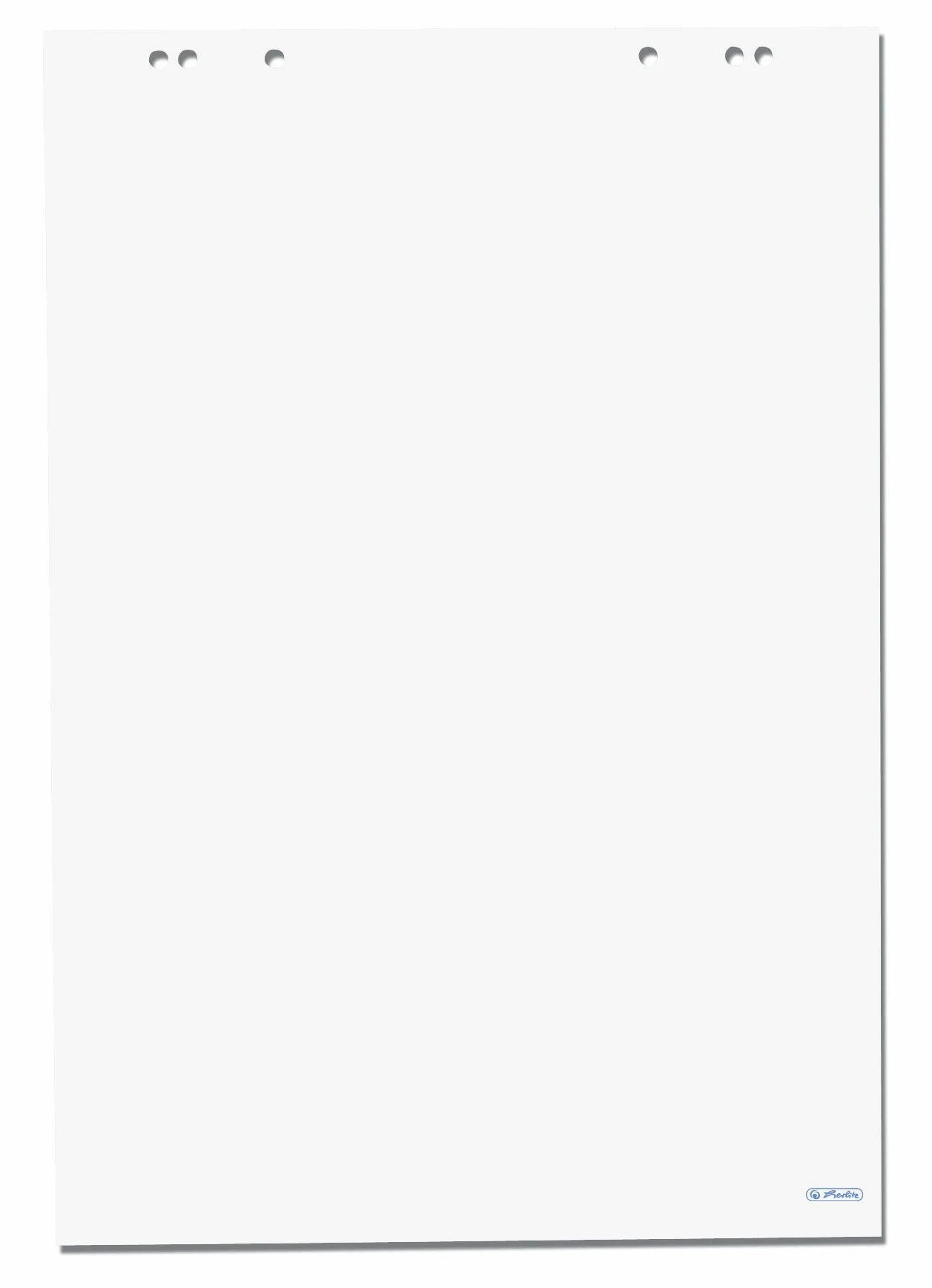 Herlitz Blocco per lavagna a fogli mobili, 65 x 98 cm, 20 fogli, bianco, 80 g/m² FSC Mix, 5 pezzi