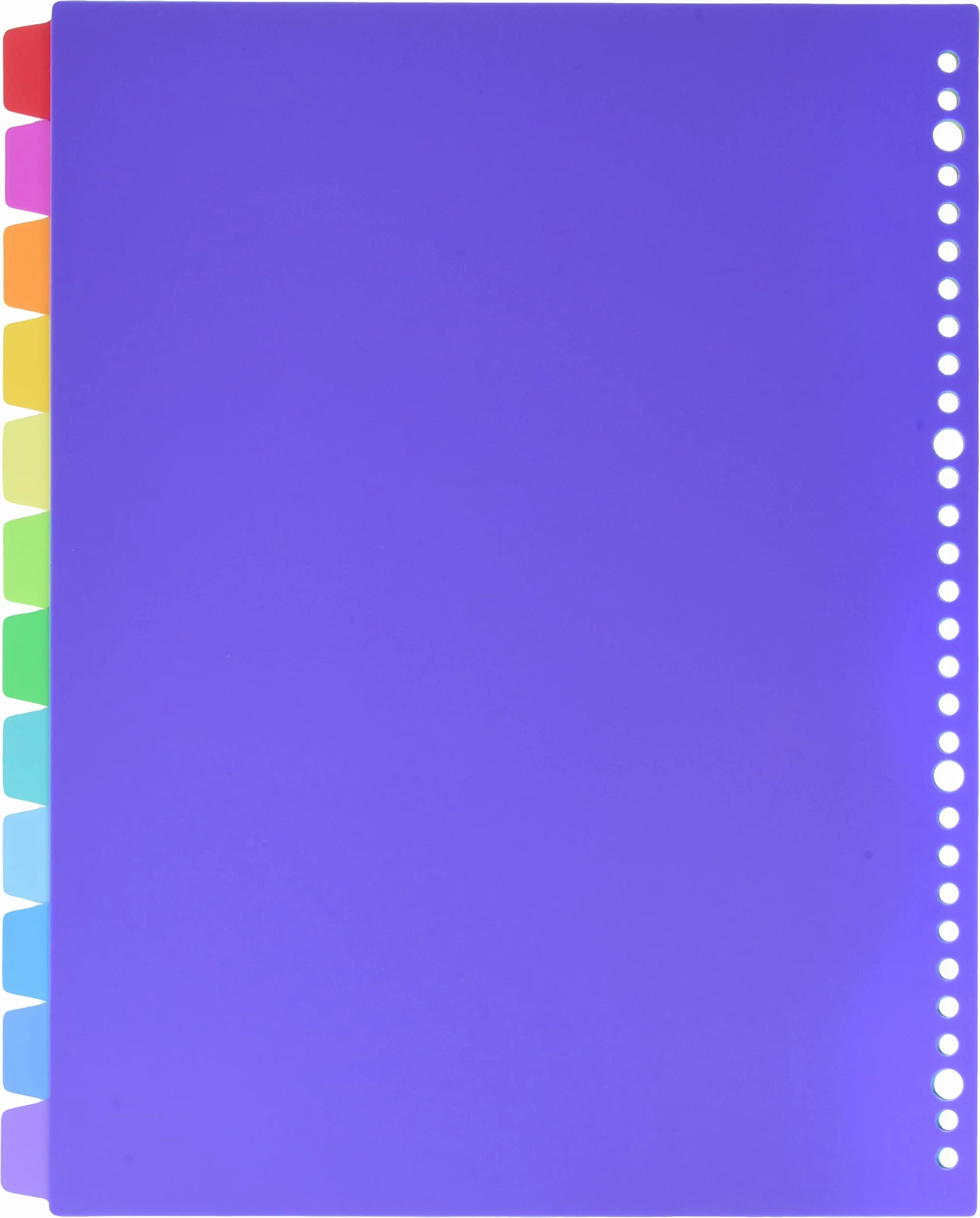 Viquel Set di 12 divisori in plastica formato A4 Maxi perforazione a 30 fori