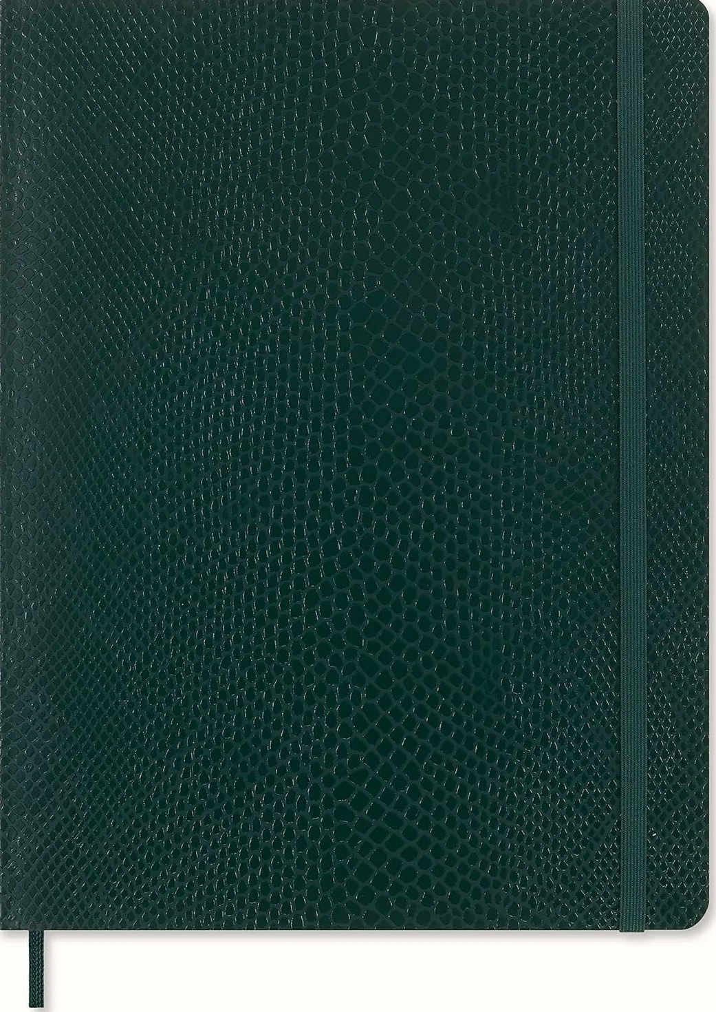 Moleskine Taccuino Precious & Ethical, con Confezione Regalo, Copertina Morbida Vegana Effetto Pitone, Chiusura Elastica, Colore Verde, Formato XL 19 x 25 cm