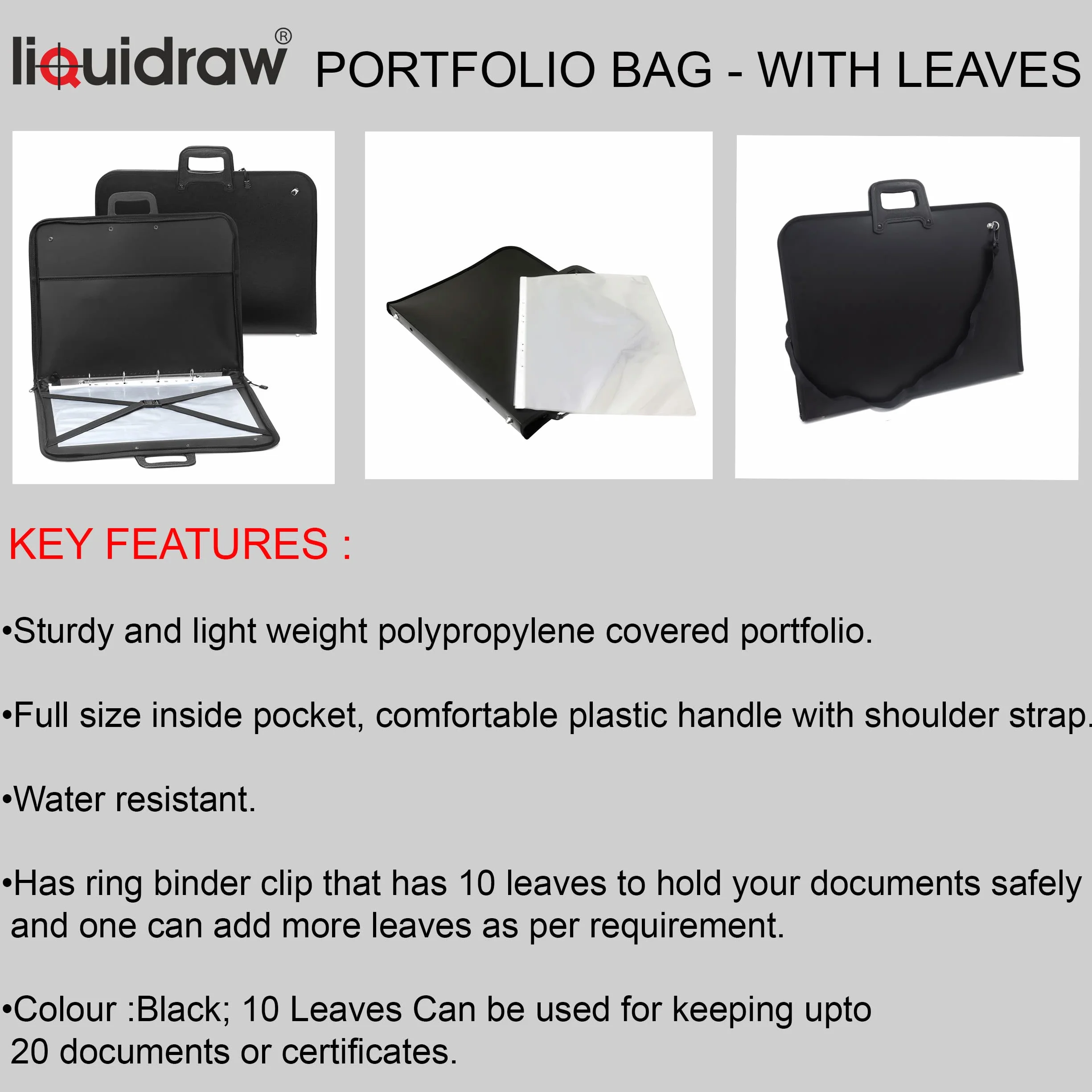 Liquidraw Cartellina portadocumenti per artisti, formato A2 e A3, con maniche o tasche trasparenti, borsa per il trasporto e documenti per artisti, Nero , A2, Portfolio Bag A2