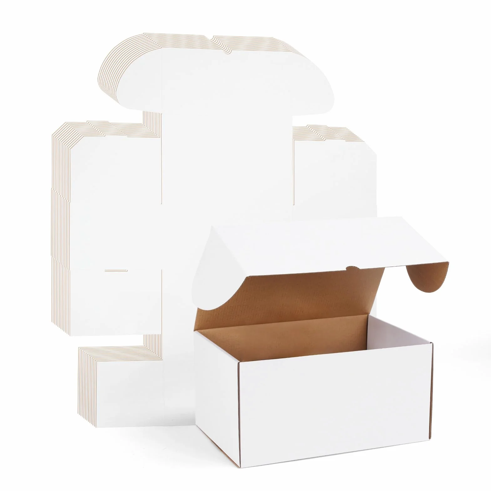 RLAVBL Scatole di Cartone Ondulate 30.48x20.32x15.24cm, Set di 15 Bianca