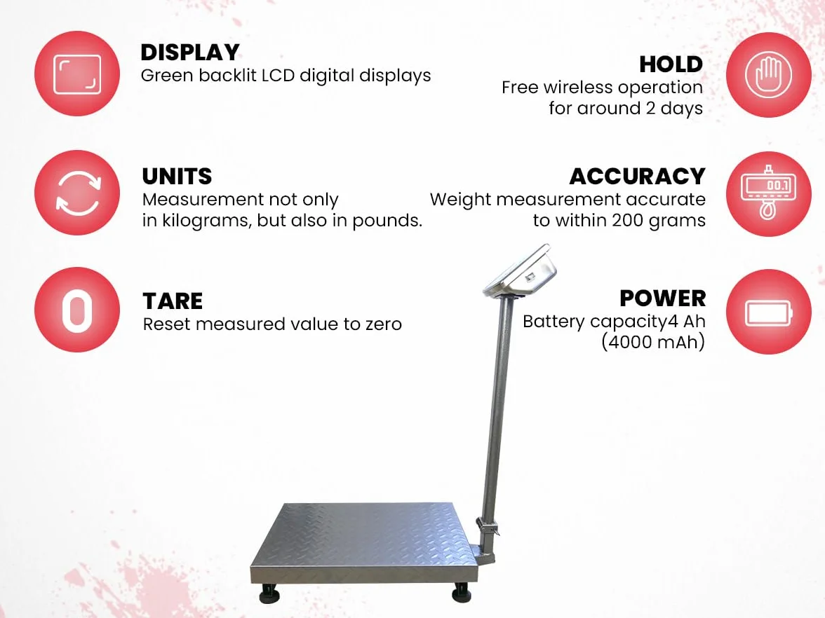 Piattaforma, Bilancia da Magazzino, Portata Fino a 500 kg, Display LCD, Precisione +/- 200 g, Taratura, Dimensioni Piattaforma 60 x 45 cm, Unità di Somma, HDWR wagPRO-P500