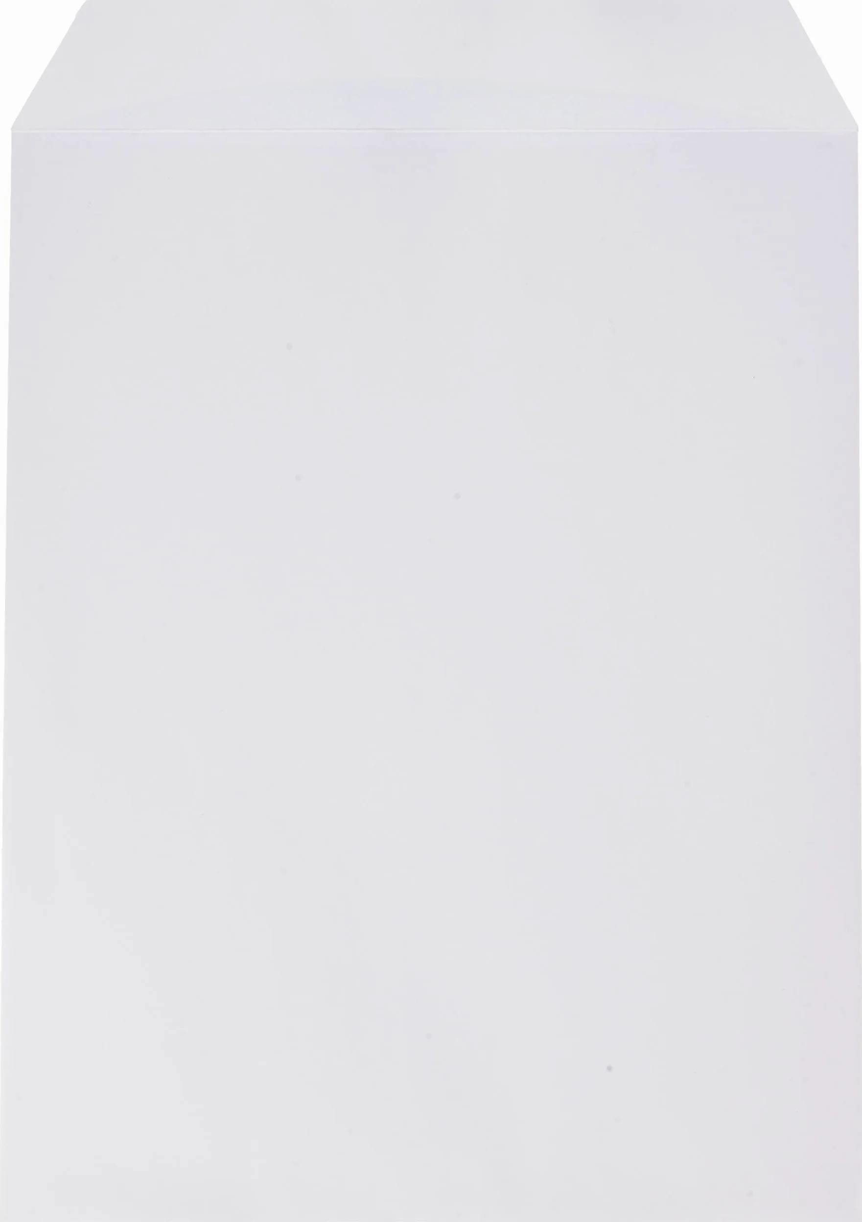 Confezione da 250 buste bianche 24 260 x 330 120 g/m2 banda di protezione