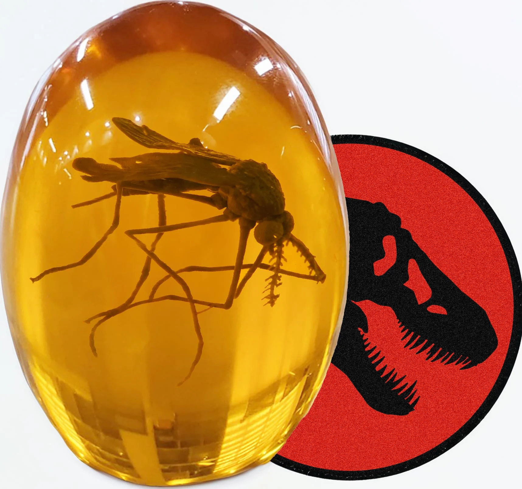 VEOJEIN Jurassic Mosquito 3D - Zanzara in ambra - Realistico giurassico da collezione - Fermacarte in resina a fondo piatto - DNA dinosauro