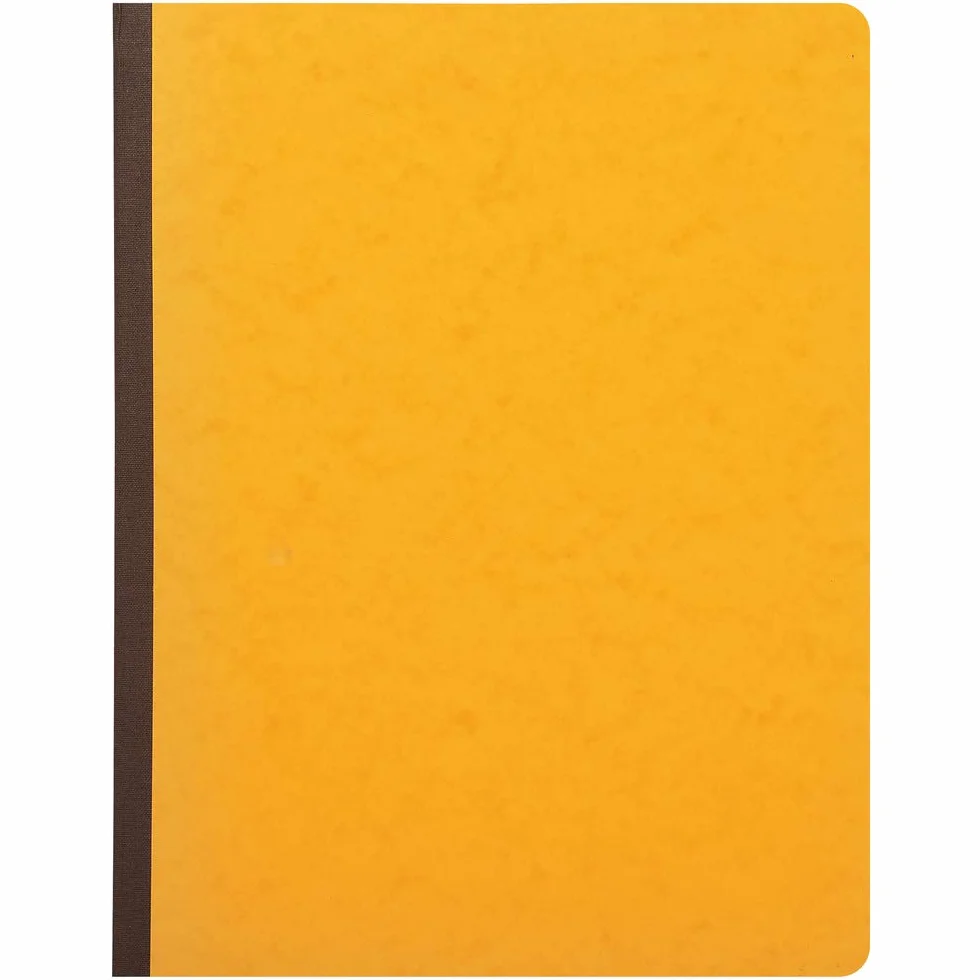 Exacompta 4015E - Pizzichino a 15 colonne 32 x 25 cm, 15 colonne su 2 pagine, 33 righe per pagina, 80 pagine, carta 110 g, colori casuali