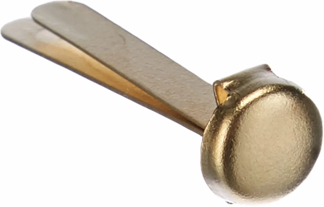 Fermacampioni Leone Dell'Era N°5 25 mm Scatola appendibile