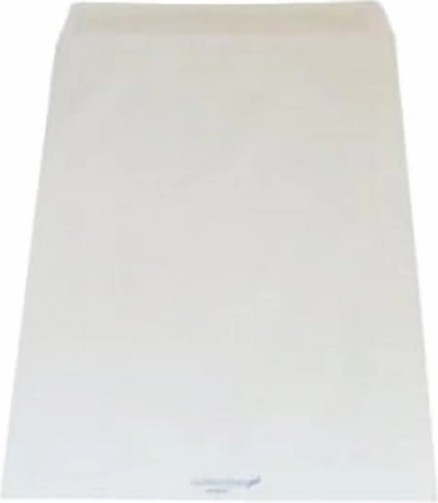 CF500BUSTESACCO BIANCO25X35 3CM