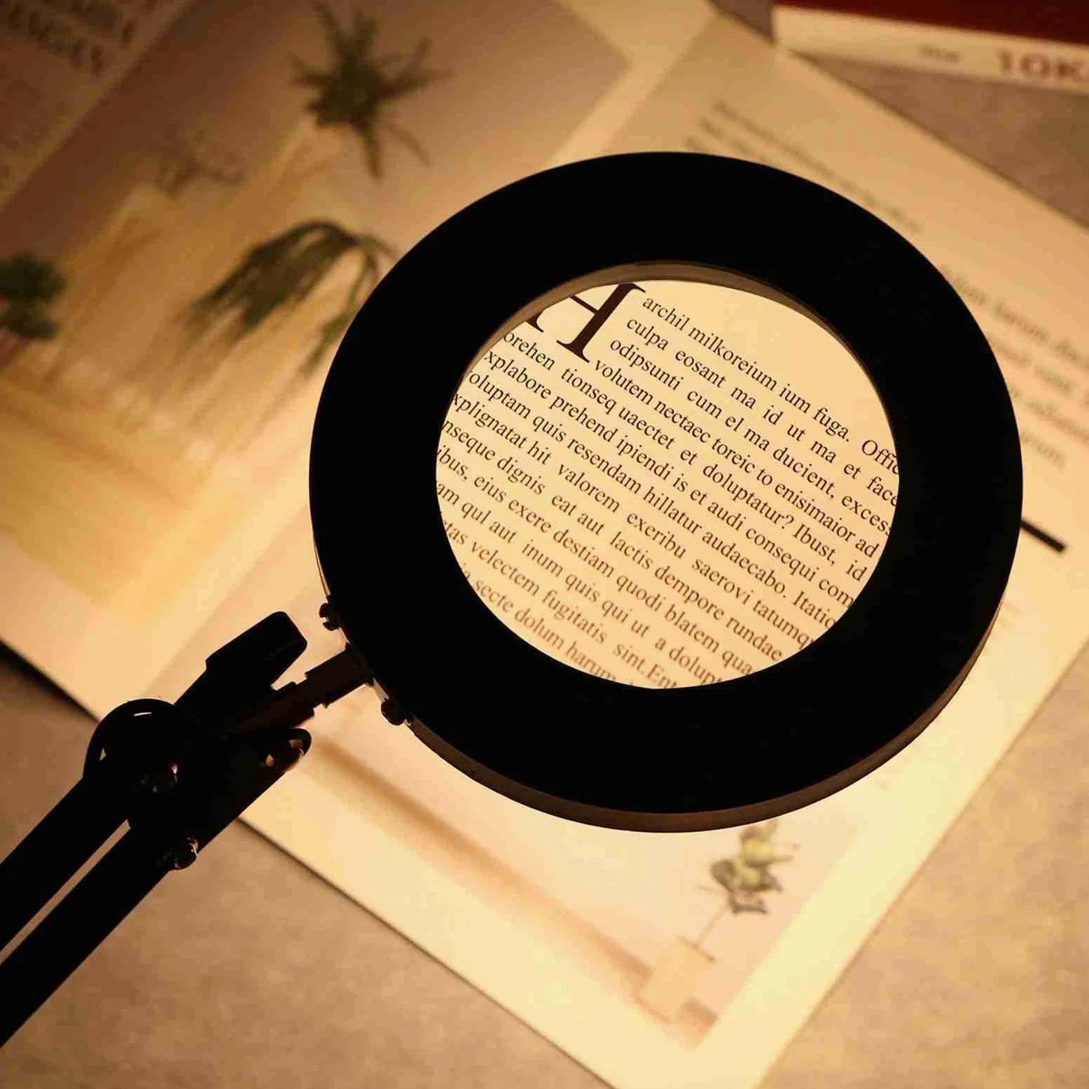 Lente d'ingrandimento 8X, lampada da scrivania a LED, lente d'ingrandimento illuminata USB con luce e morsetto regolabile, 3 modalità colore, luminosità regolabile per lettura per anziani