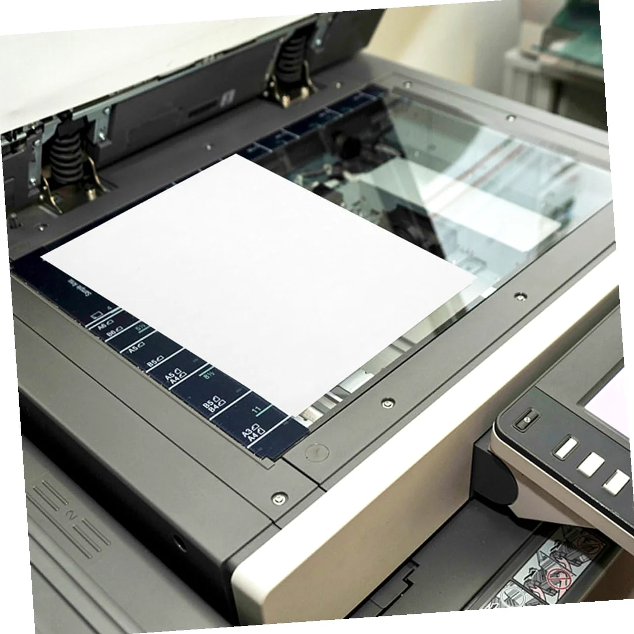 Etichette Autoadesive Stampabili A4 Lucide per Stampanti Laser a Getto D'inchiostro, 100 Fogli Resistenti Agli Strappi