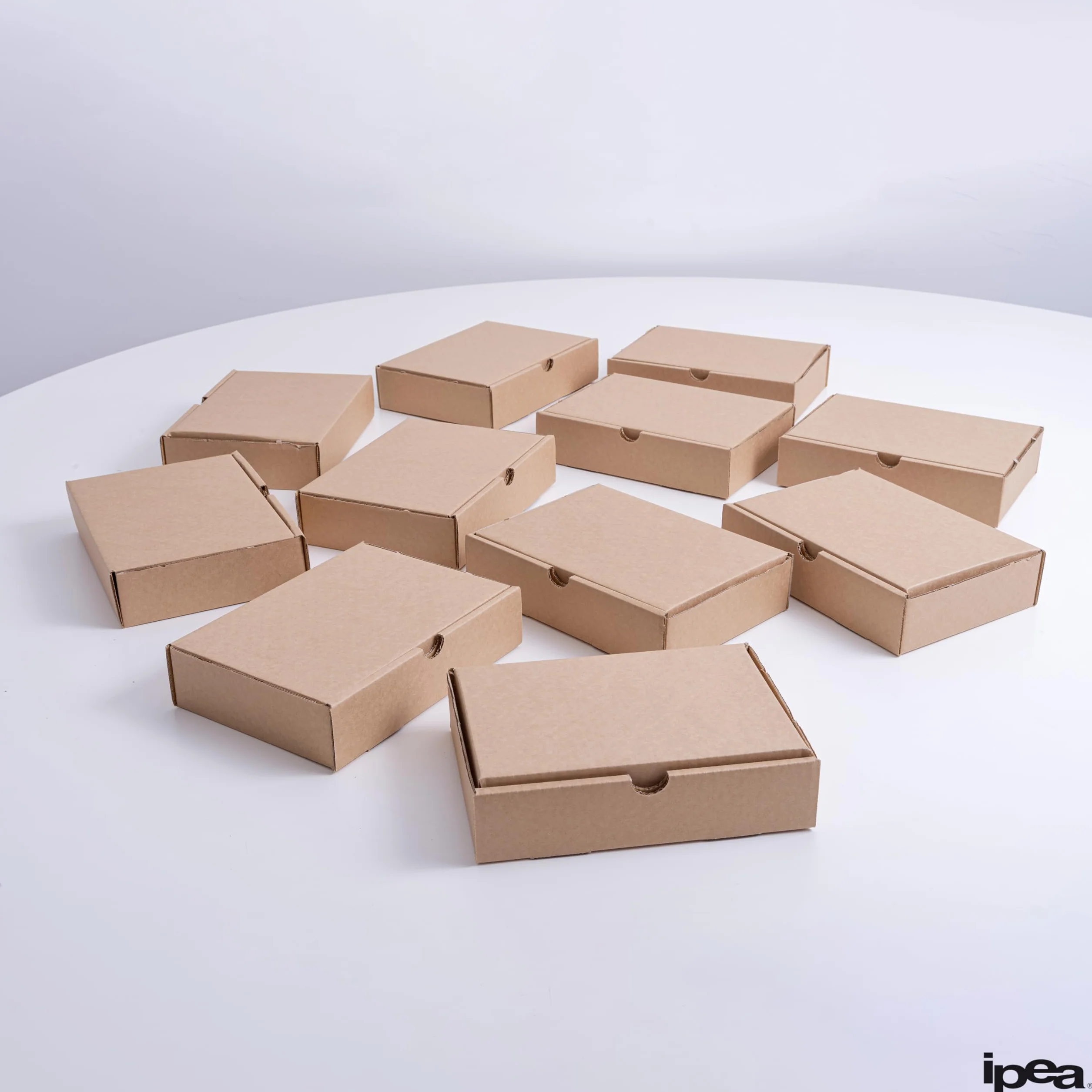 IPEA Scatole di Cartone Piatte 21 x 15 x 5 cm 10 Pezzi Made in Italy