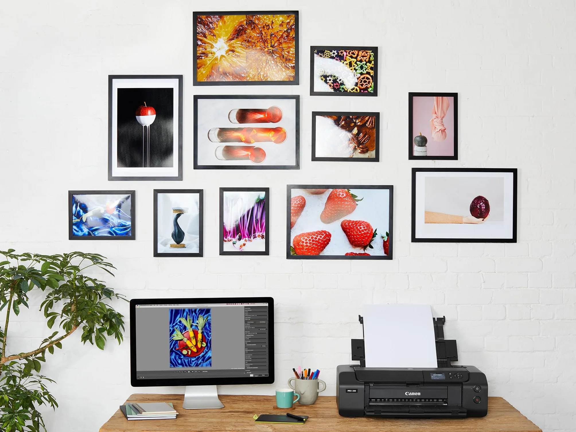 Canon PP 201 Photo Paper Plus Glossy II A4 Carta fotografica 20 fogli