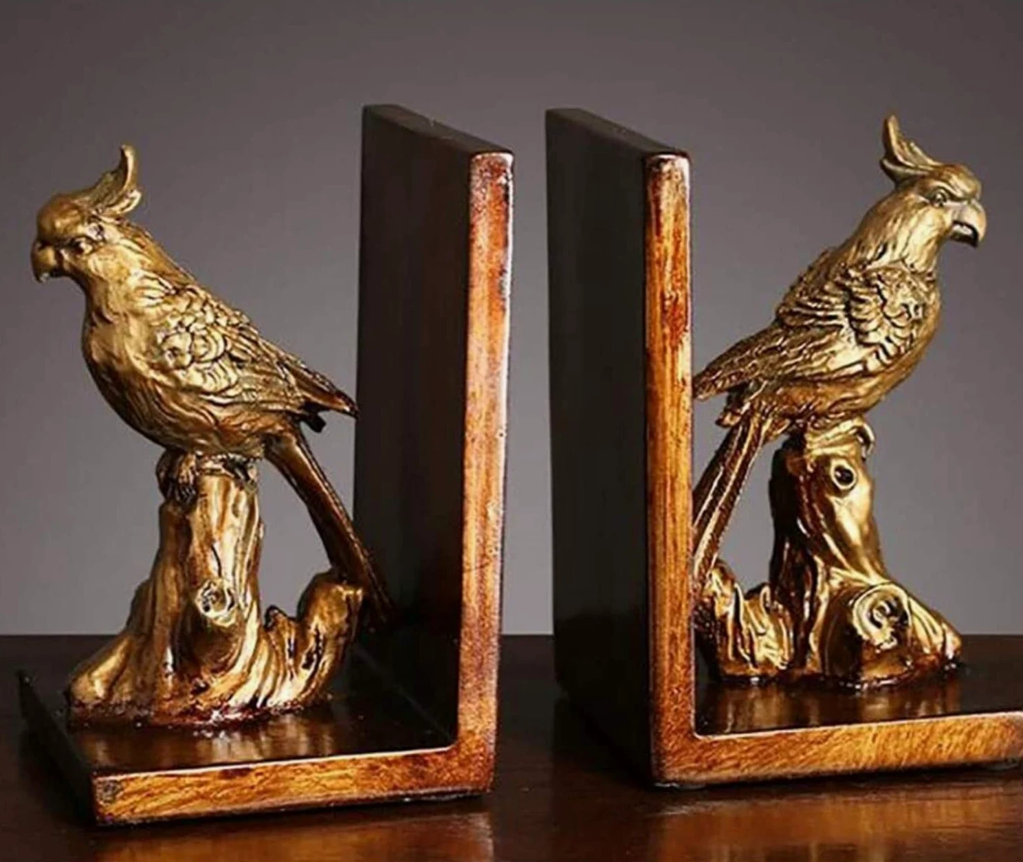 Reggi Libri, Fermalibri Fermalibri In Resina Per Pappagallo Per Scaffali Per Libri Resistenti Antiscivolo Per Ufficio Casa Scrivania