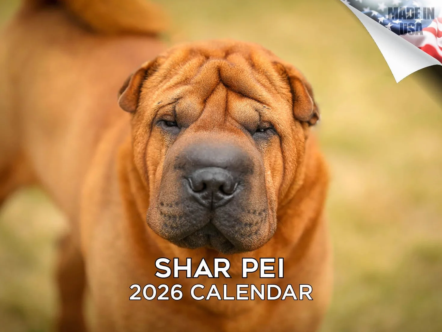 Calendario 2024 2025 Shar Pei – Calendario mensile da parete con razza canina – 30,5 x 45,7 cm aperto – carta spessa senza sbavature – regalo – calendario per insegnanti accademici per organizzare e