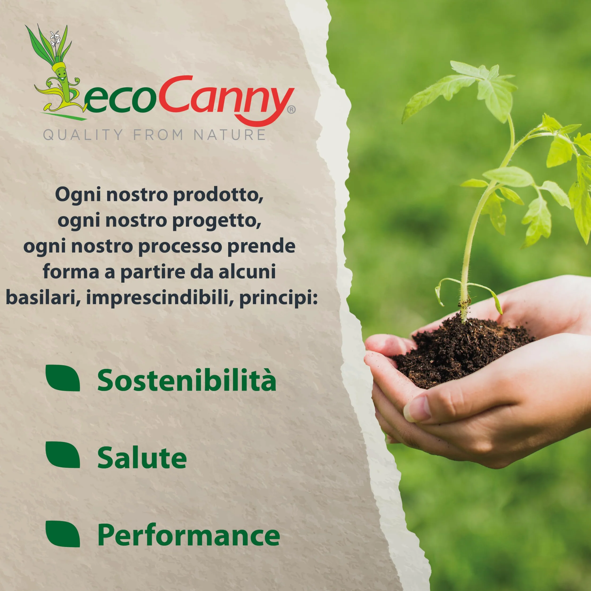 Ciotola Ecologica in Canna da Zucchero 205mm Biodegradabile Compostabile 25 Pezzi