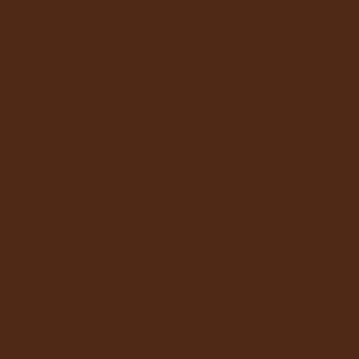 Diamine - Inchiostro per penna stilografica, Chocolate Brown 80ml