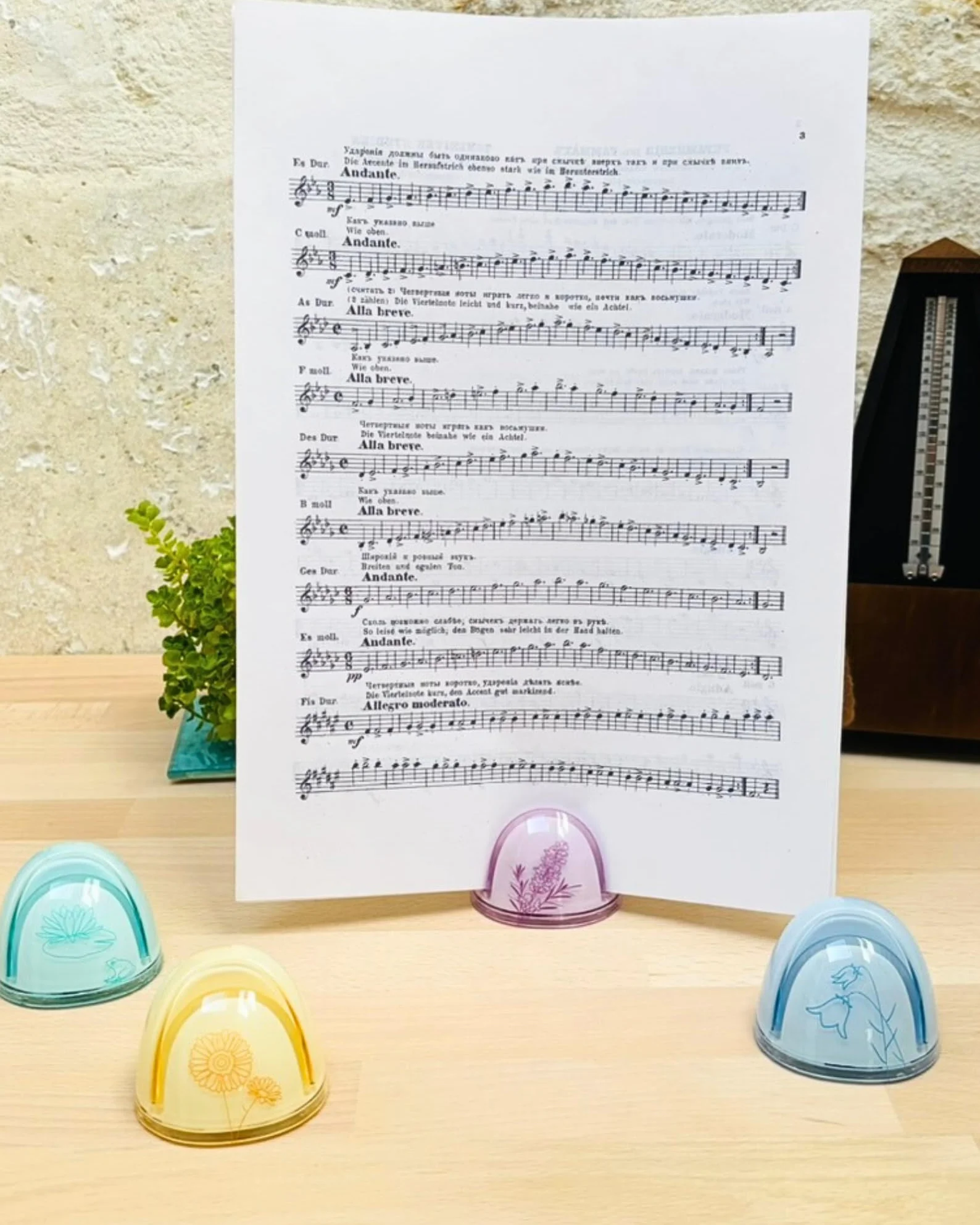 Page'up Portacopia originale Flower Blue My Rock Way - Forniture per ufficio, accessori cancelleria