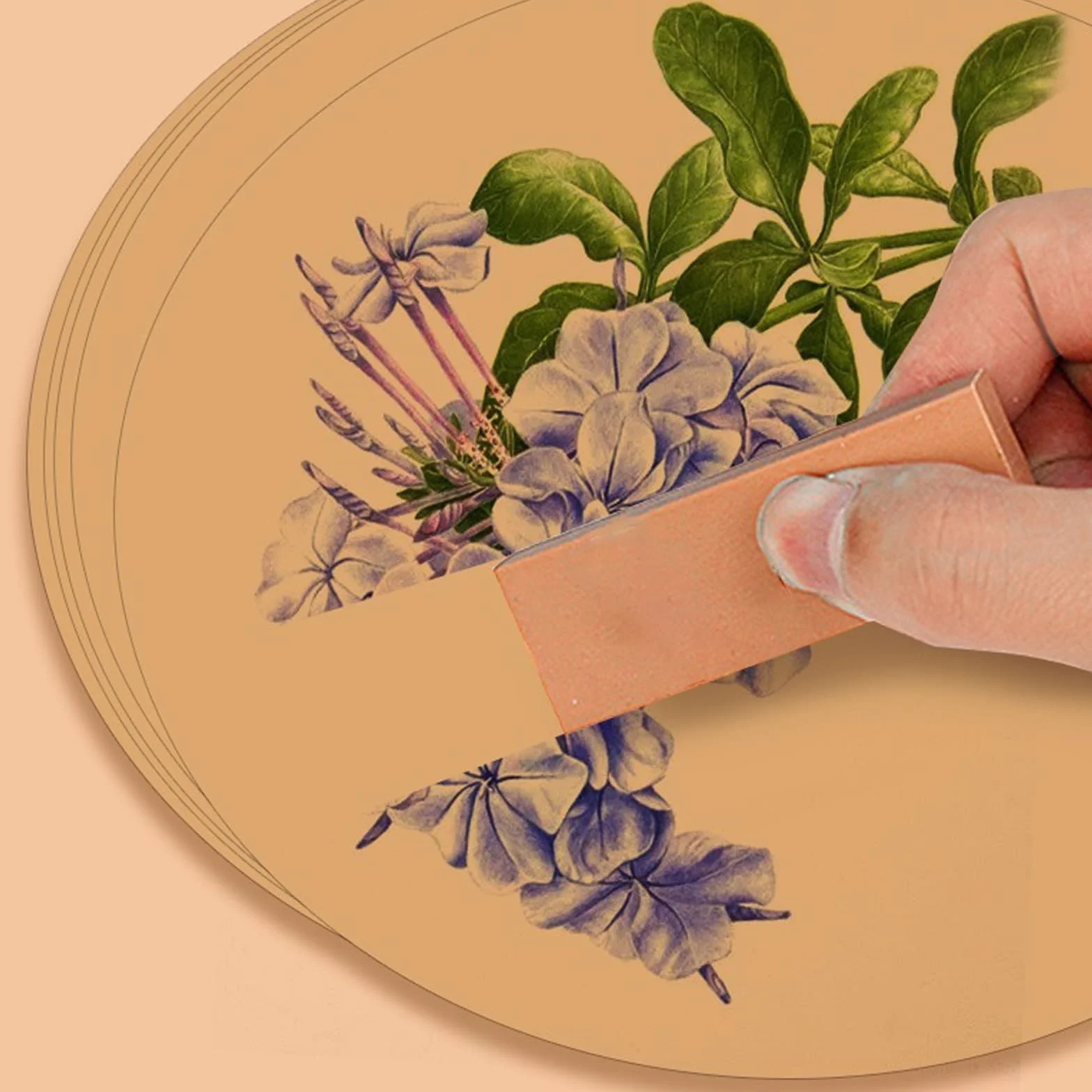 Cerchi di carta colorati 33 cm 20 pezzi per decorazioni classe