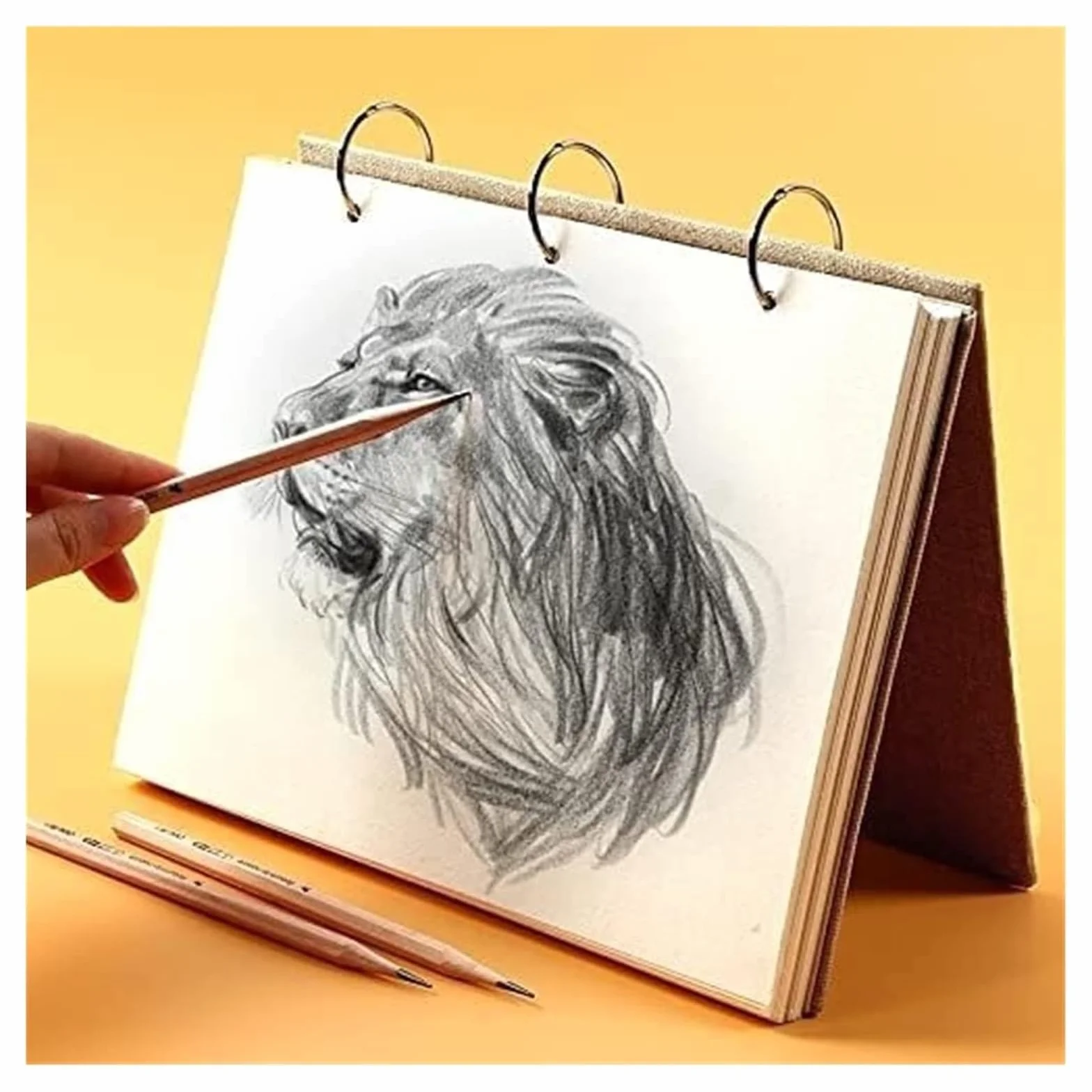 Taccuino, Carta da disegno 8K/16K/32K for schizzi for Pittura Diario Quaderno professionale Blocco note(8k)