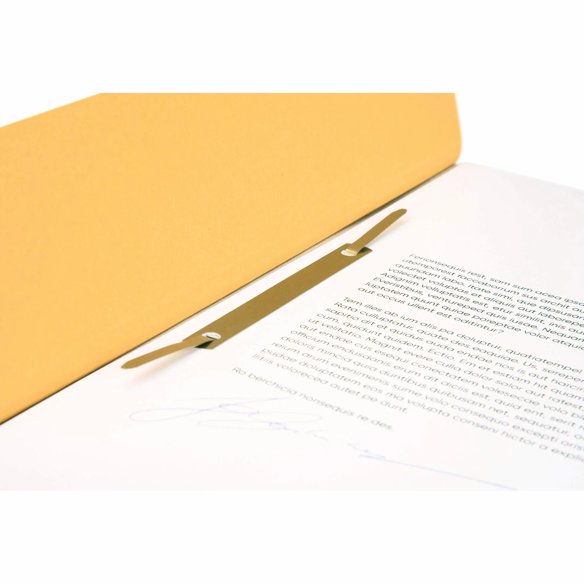 Falken Cartelline in carta riciclata, in formato DIN A4, confezione da 100 pezzi 100er Pack camoscio