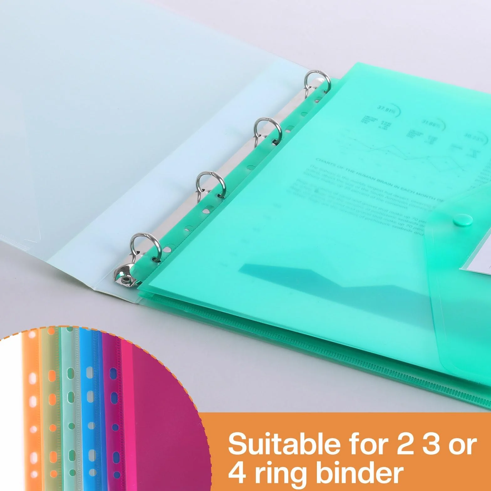 Document Wallet A4 Filing - Confezione da 20 cartelle portadocumenti A4 con 11 fori and Label Pocket - Custodia impermeabile per l'organizzazione dei documenti (tridimensionale)