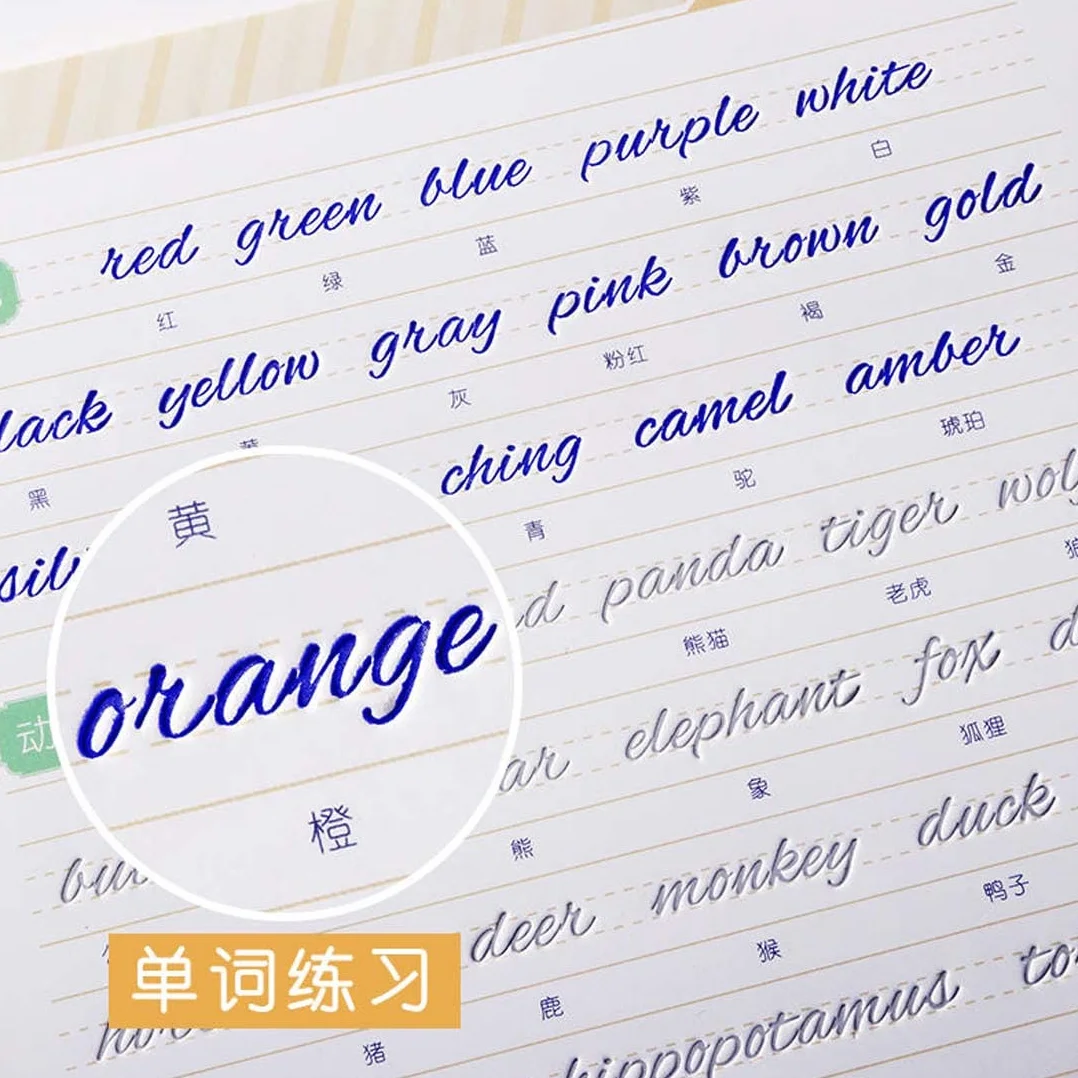 Fendawn Strive Bella calligrafia inglese rotonda, pratica di scrittura a mano Copybook Board Groove Training copybook