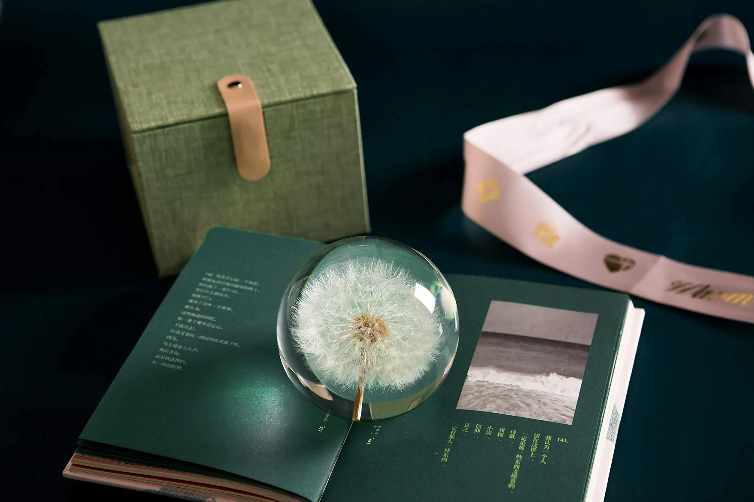 WEedsy Paperweight Dandelion Dream Ball. Palla di Cristallo dei Desideranti. Paperweight Unico Fatto di Dente di Leone. Il Regalo Perfetto. (9 cm) diametro-9cm