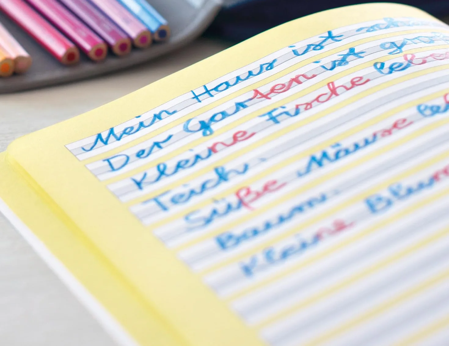 Faber-Castell Matite colorate Jumbo Grip 6 pezzi rosso blu