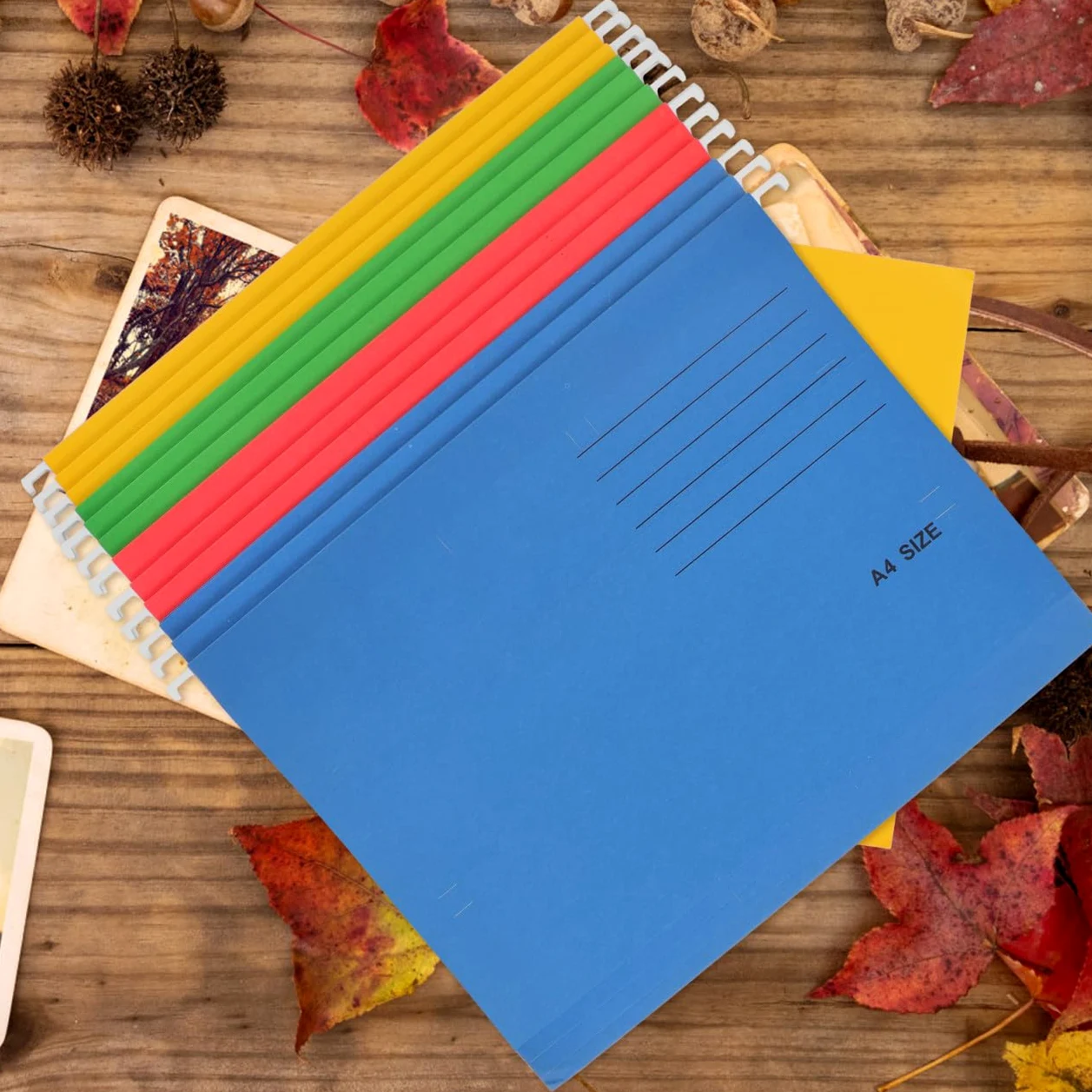 Confezione da 12 Cartelle Sospese in Carta e Metallo, Formato A4, Porta Documenti da Ufficio e Scuola, Organizzazione Stabile