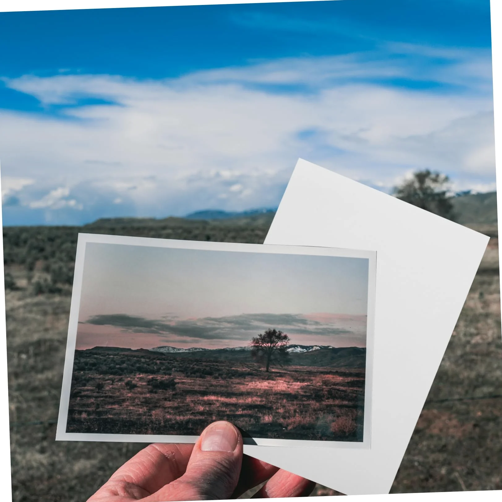 Veemoon 5 Set Carta Fotografica Stampa Di Carte Fotografiche Documenti Della Stampante Colore Album Alto Foto Carte Fotografiche Lucido Foto Lucida Immagini Carta Bianca 100 Fogli*5