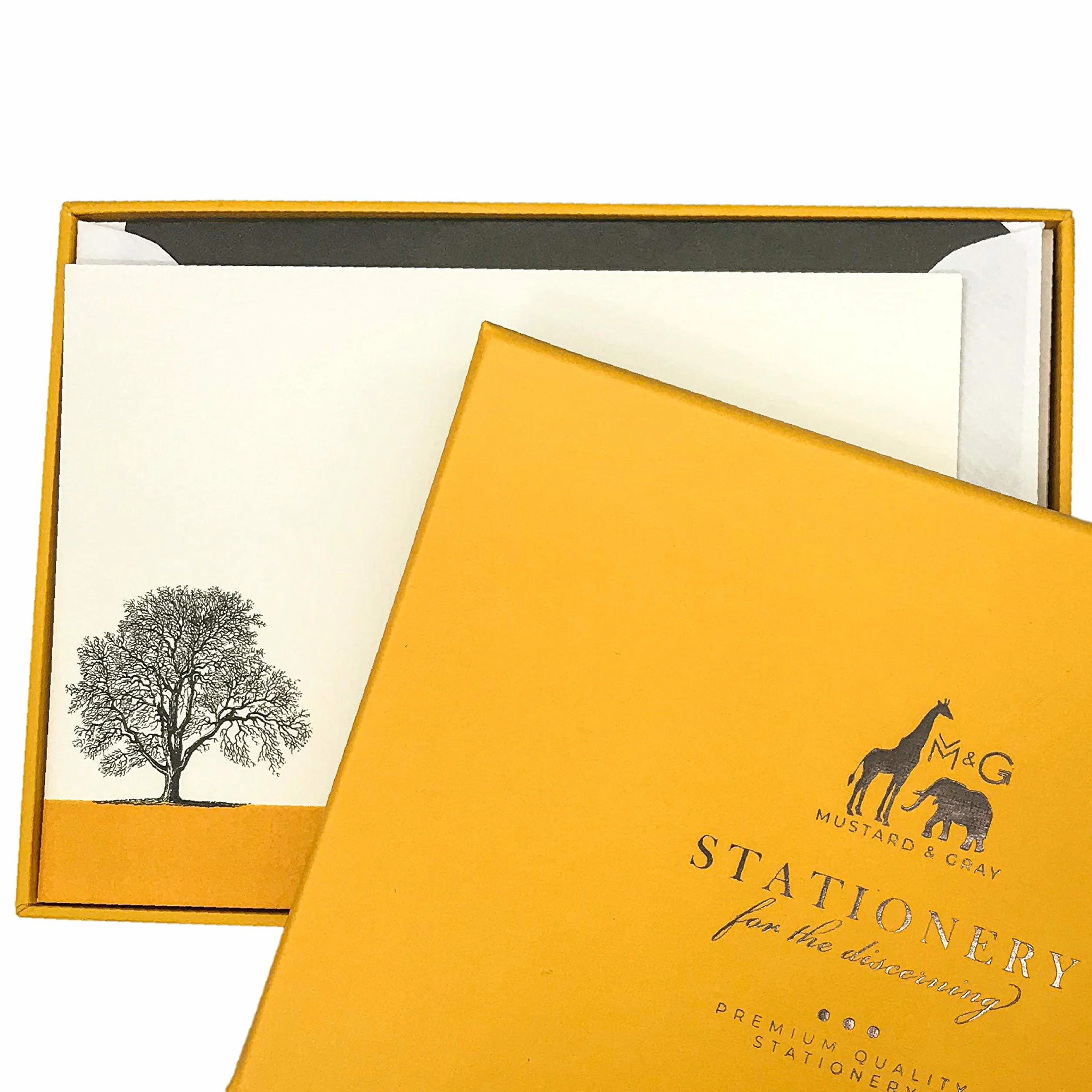 Condover Headlands set di biglietti di lusso con buste foderate 10 pezzi