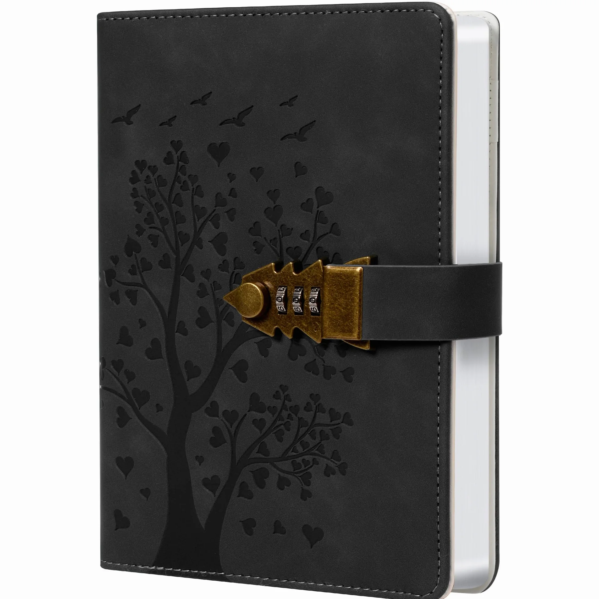 Diario Segreto A5 Lago Verde con Lucchetto 240 Pagine Notebook Protetto