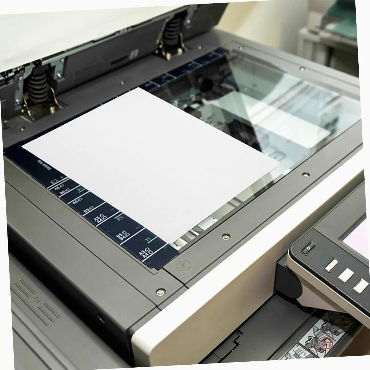 Etichette Autoadesive Stampabili Lucide per Stampanti A4 Compatibili Inchiostro e Laser