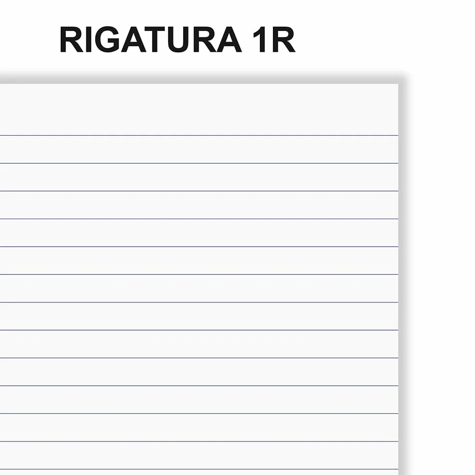 Favorit Quaderni Spiralati A4 A Righe 5 Pezzi Carta 80g/Mq