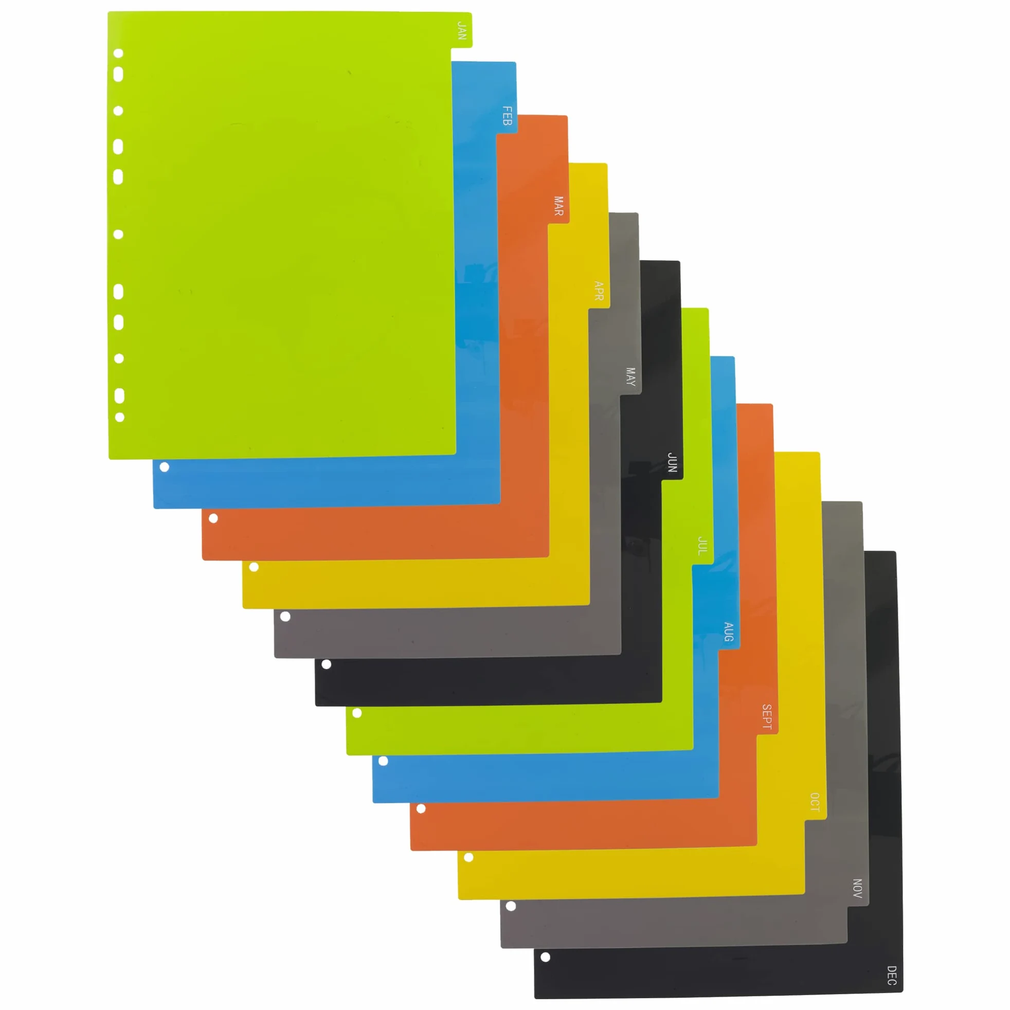 eco-eco Eco082x12 - Divisori extra larghi in formato A4, 50% riciclati, rinforzati, colori da gennaio a dicembre, 200 mic (confezione da 12), eco082 x 12