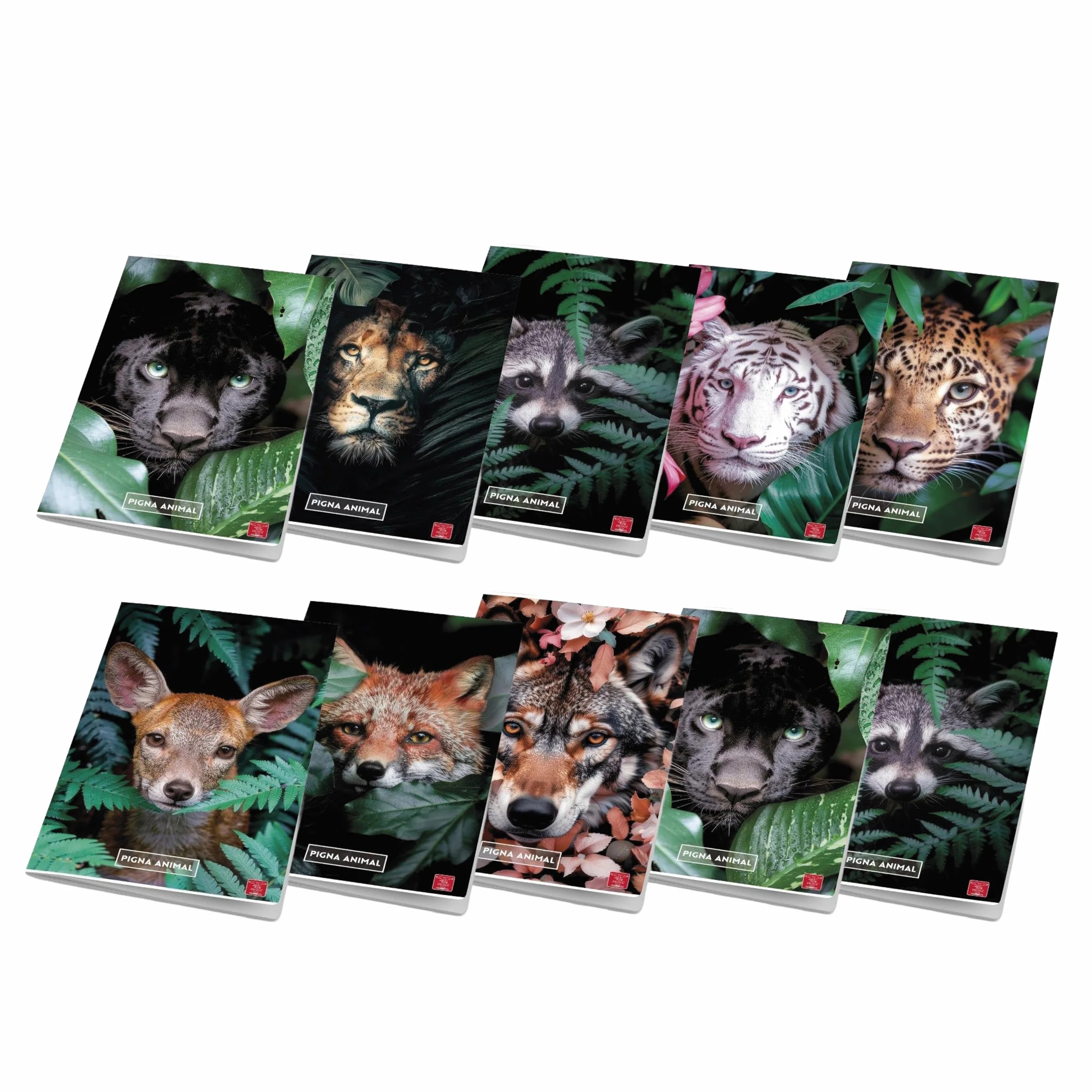 Pigna Maxi Quaderni A4 Quadretto 0Q 5 mm Confezione 10 Pezzi