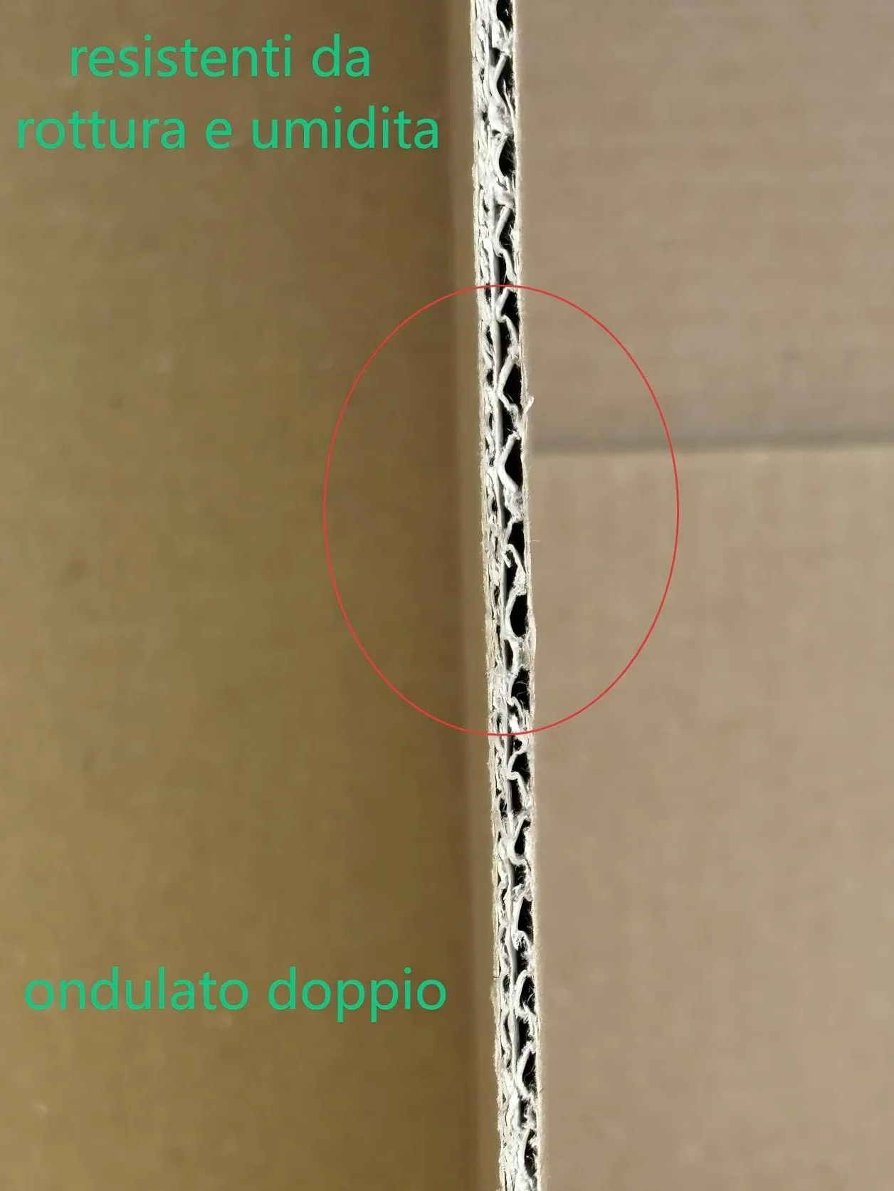 sanapack Scatole di Cartone doppia onda per Spedizioni, 35 x 25 x 15 cm, Confezione da 30 Pezzi, Marrone (30)