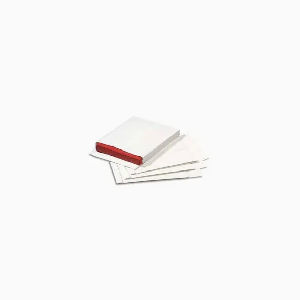 100 SACCHETTI DI CARTA C4 229 X 324 130 g/m2 CON FASCIA PROTETTIVA