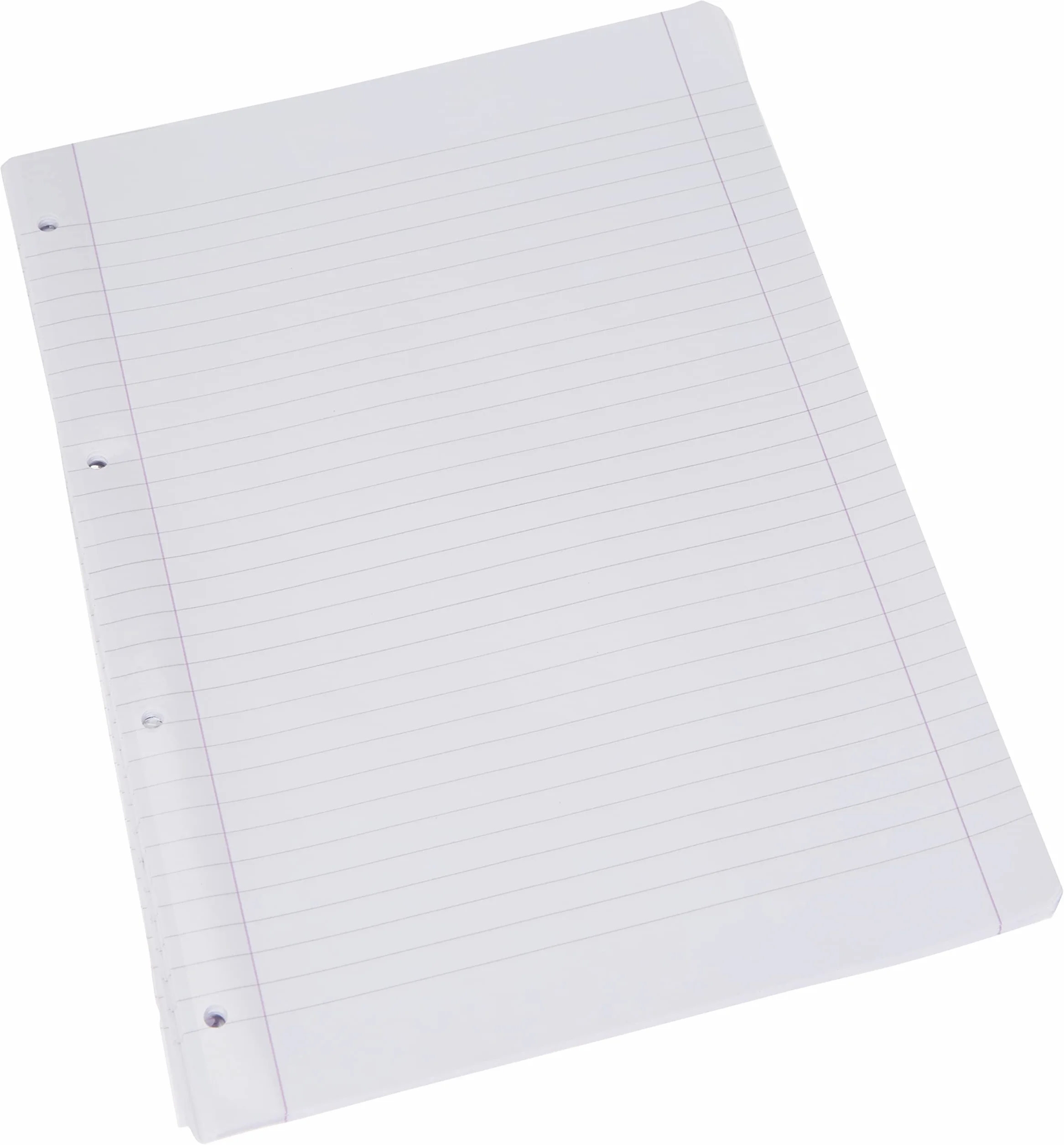 Pigna Fogli A4 21x29,7 con 4 fori per archiviazione, Confezione da 40 Ricambi, righe con margine