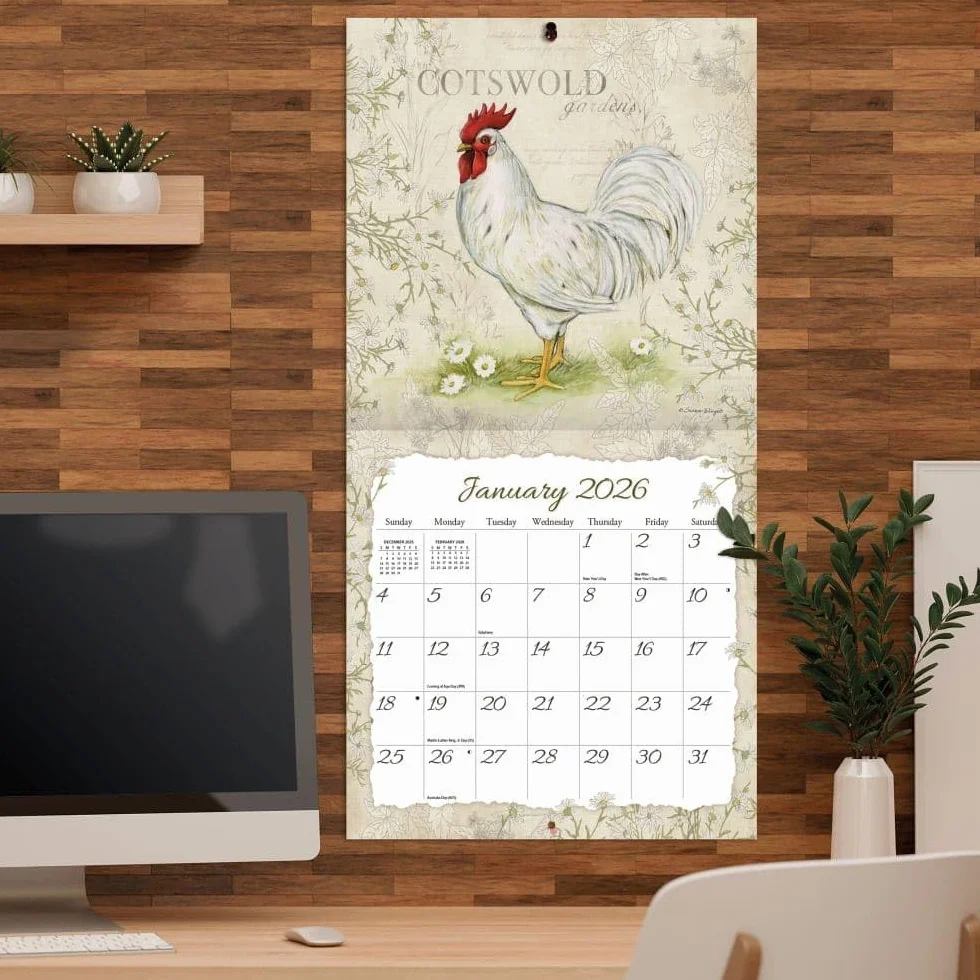 WSBL Calendario da parete 2026 Galli 12X12 (26997001691)