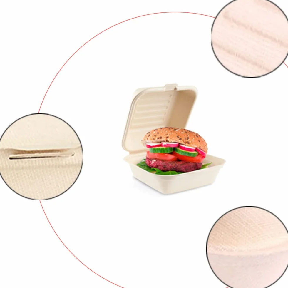 Contenitori Biodegradabili Take Away per Hamburger 50 Pezzi