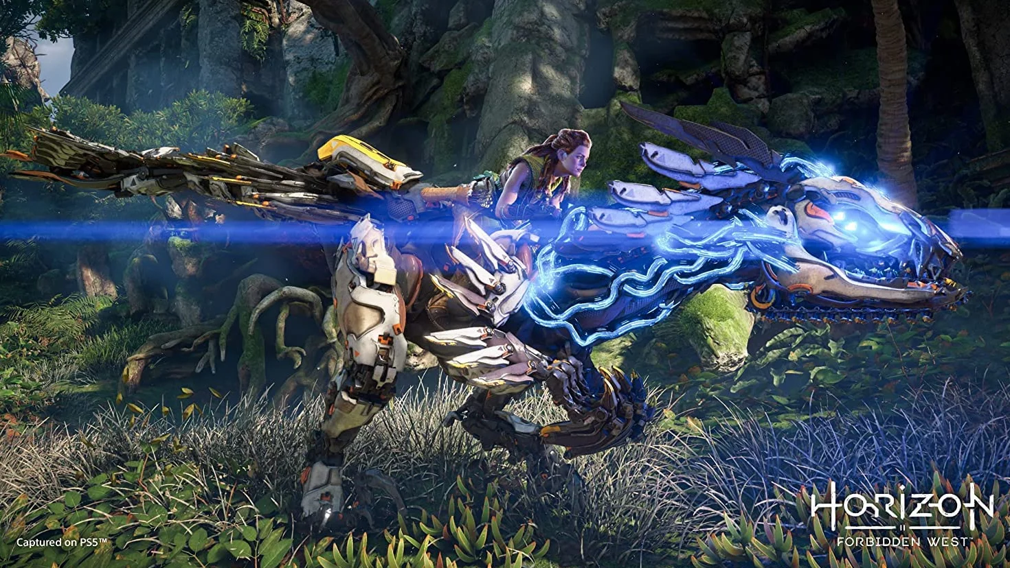 SONY HORIZON 2 FORBIDDEN WEST PS5